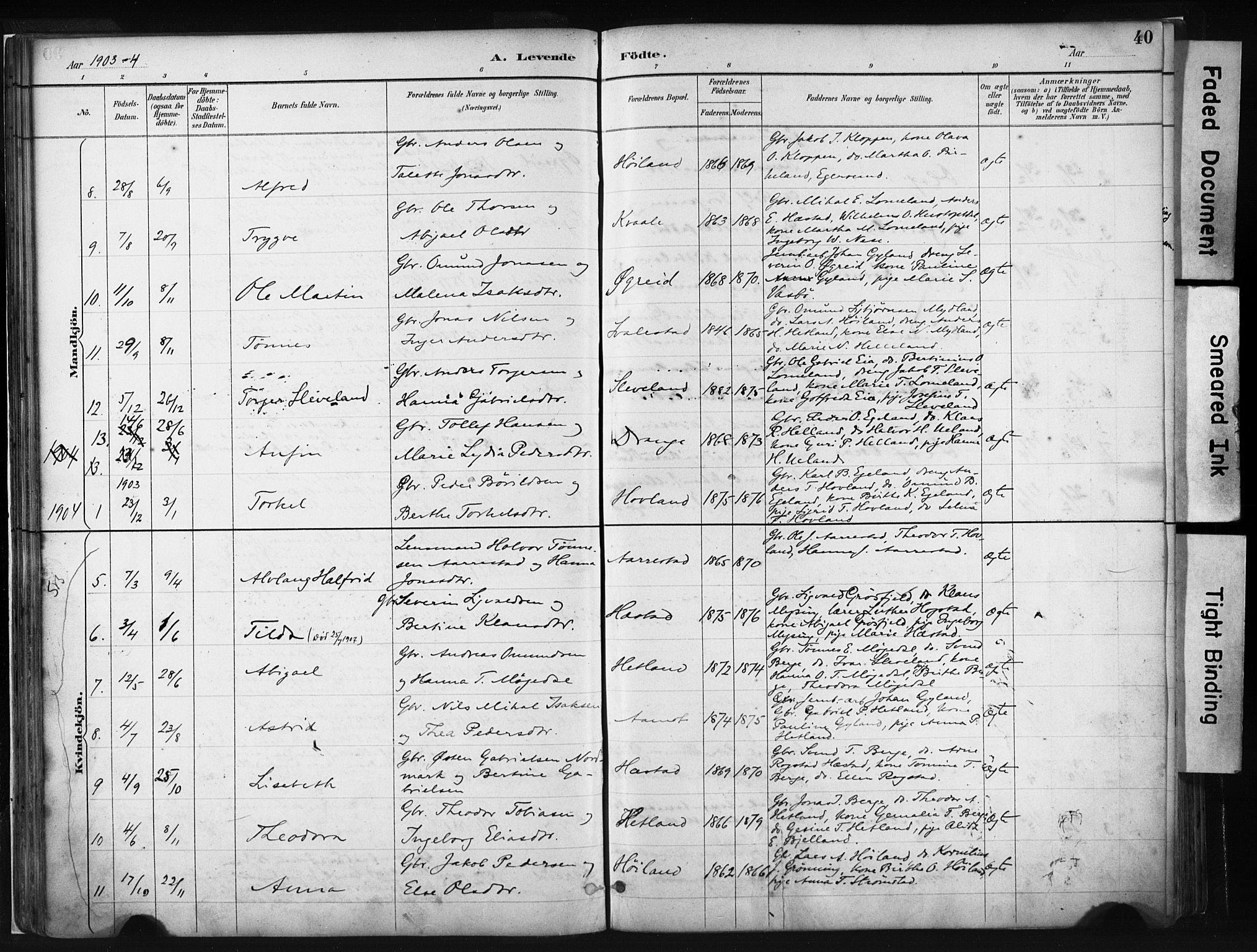 Helleland sokneprestkontor, AV/SAST-A-101810: Parish register (official) no. A 8, 1887-1907, p. 40