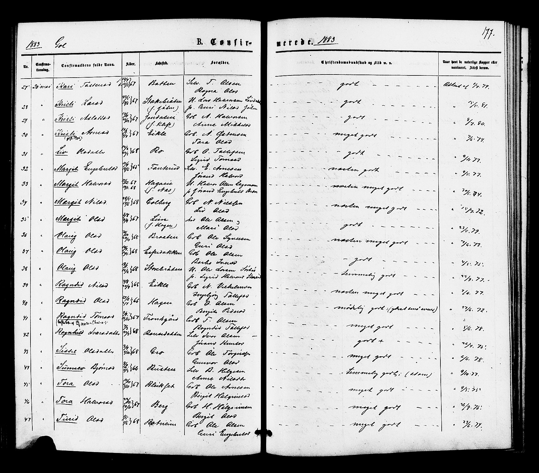 Gol kirkebøker, SAKO/A-226/F/Fa/L0004: Parish register (official) no. I 4, 1876-1886, p. 177