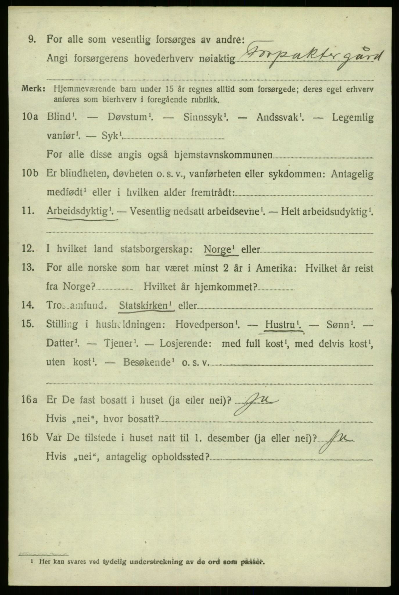 SAB, 1920 census for Hafslo, 1920, p. 2617