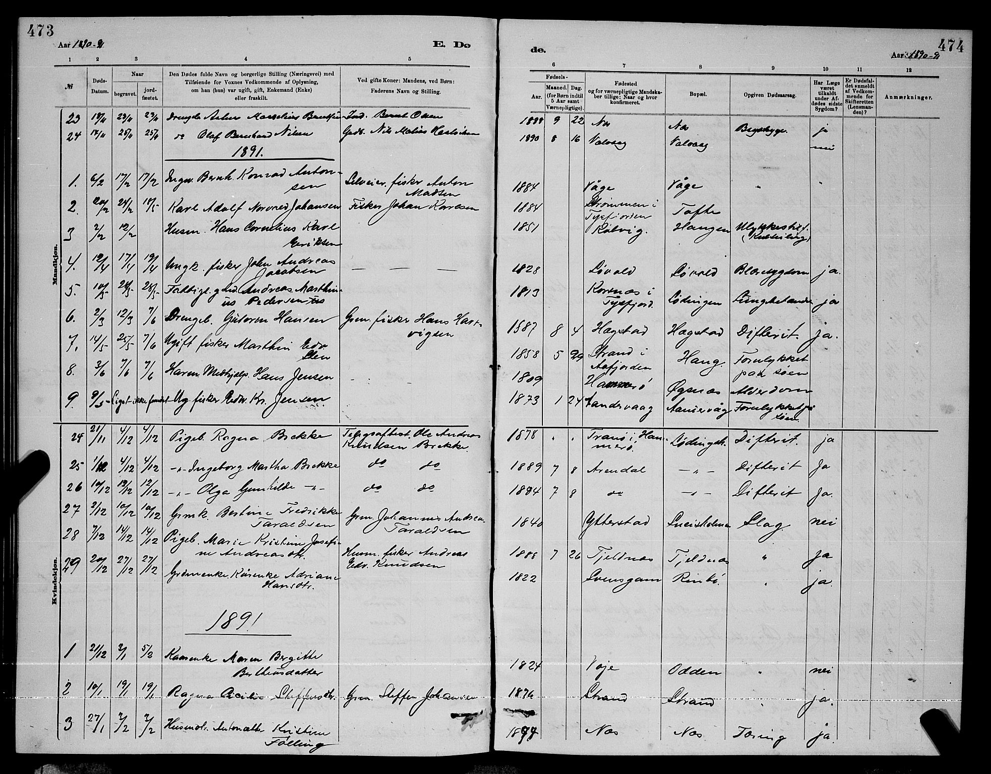 Ministerialprotokoller, klokkerbøker og fødselsregistre - Nordland, AV/SAT-A-1459/872/L1047: Parish register (copy) no. 872C03, 1880-1897, p. 473-474