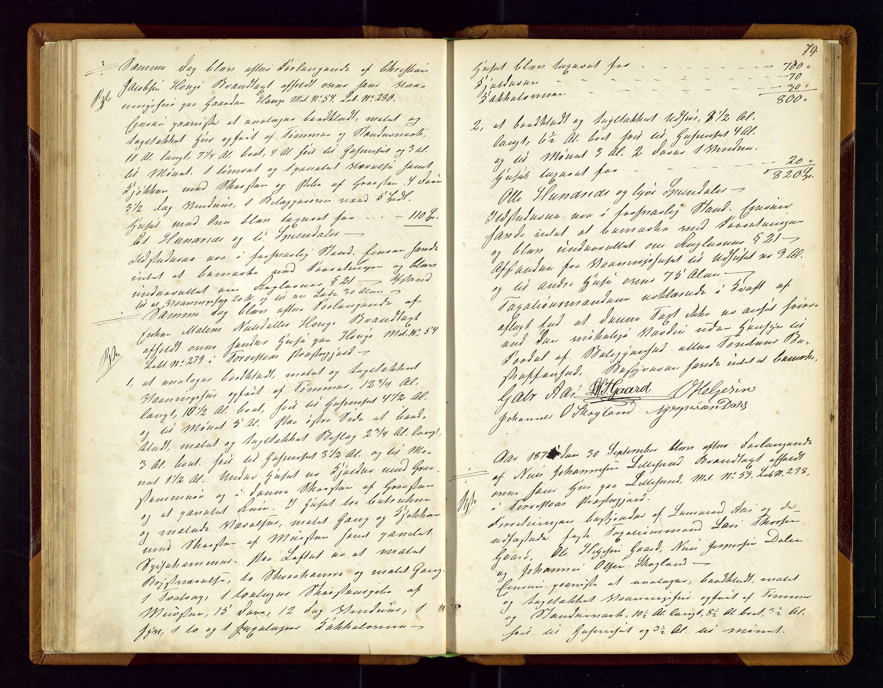 Torvestad lensmannskontor, AV/SAST-A-100307/1/Goa/L0001: "Brandtaxationsprotokol for Torvestad Thinglag", 1867-1883, p. 78b-79a