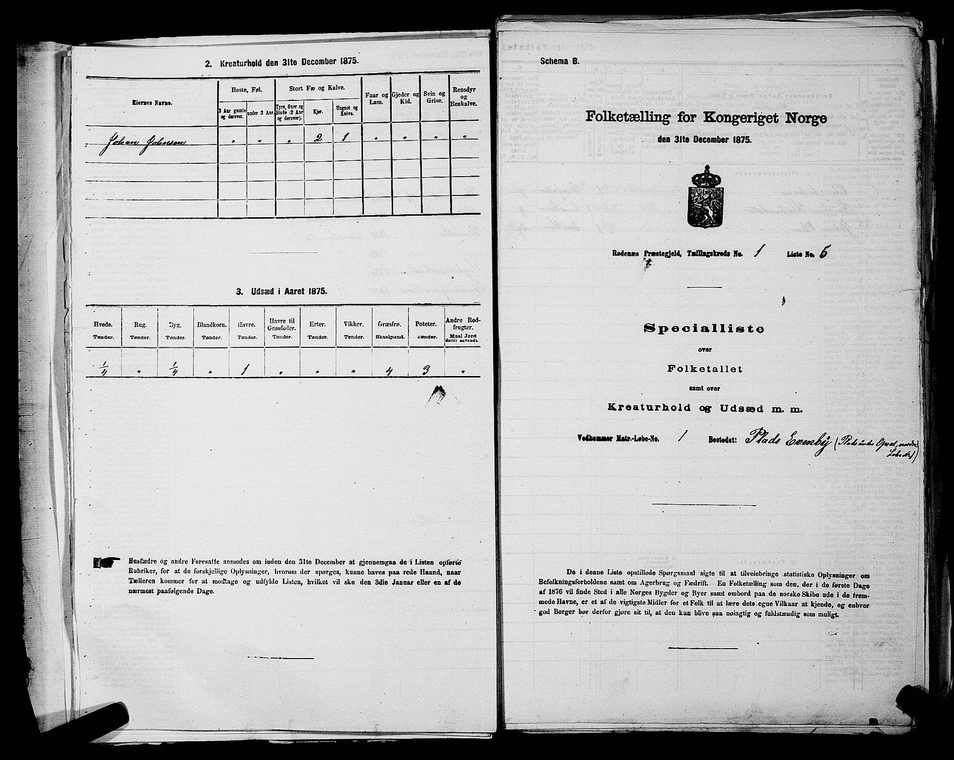 RA, 1875 census for 0120P Rødenes, 1875, p. 49