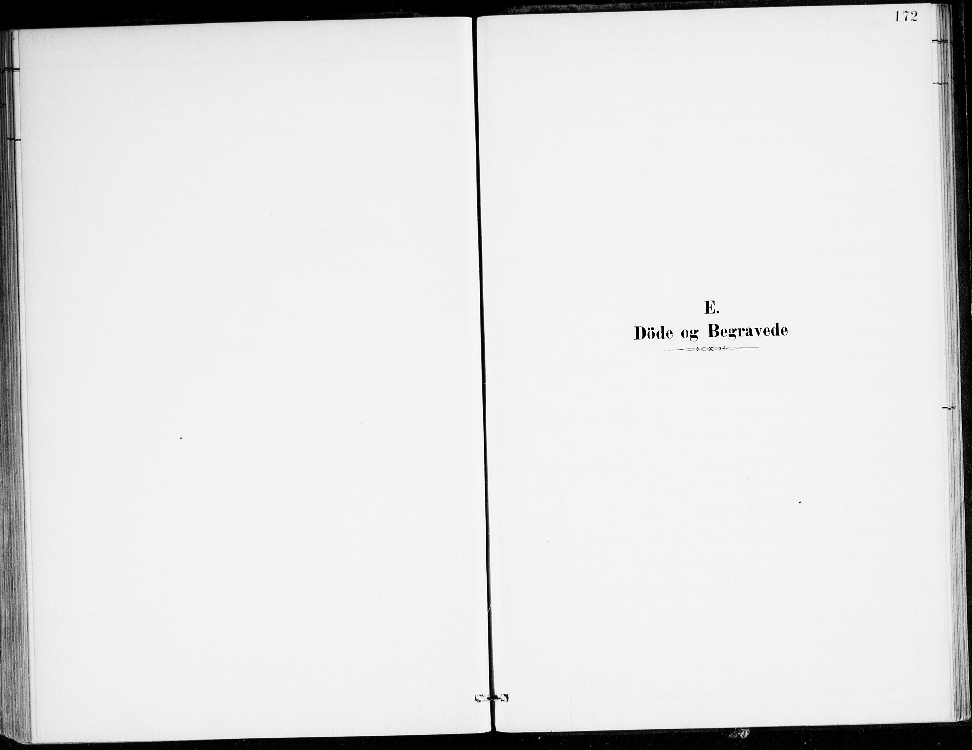 Lavik sokneprestembete, SAB/A-80901: Parish register (official) no. C 1, 1882-1904, p. 172