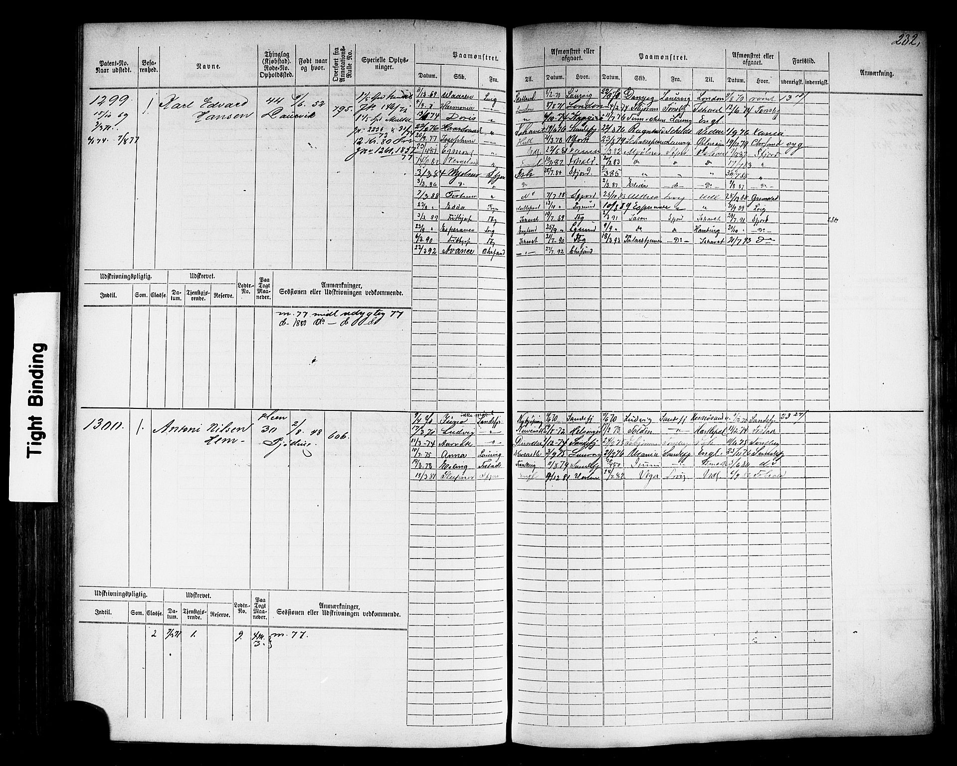 Larvik innrulleringskontor, AV/SAKO-A-787/F/Fc/L0004: Hovedrulle, 1868, p. 233