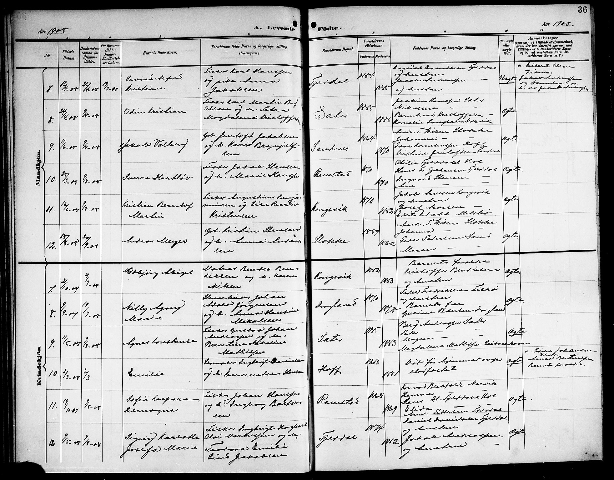 Ministerialprotokoller, klokkerbøker og fødselsregistre - Nordland, AV/SAT-A-1459/865/L0932: Parish register (copy) no. 865C04, 1901-1917, p. 36