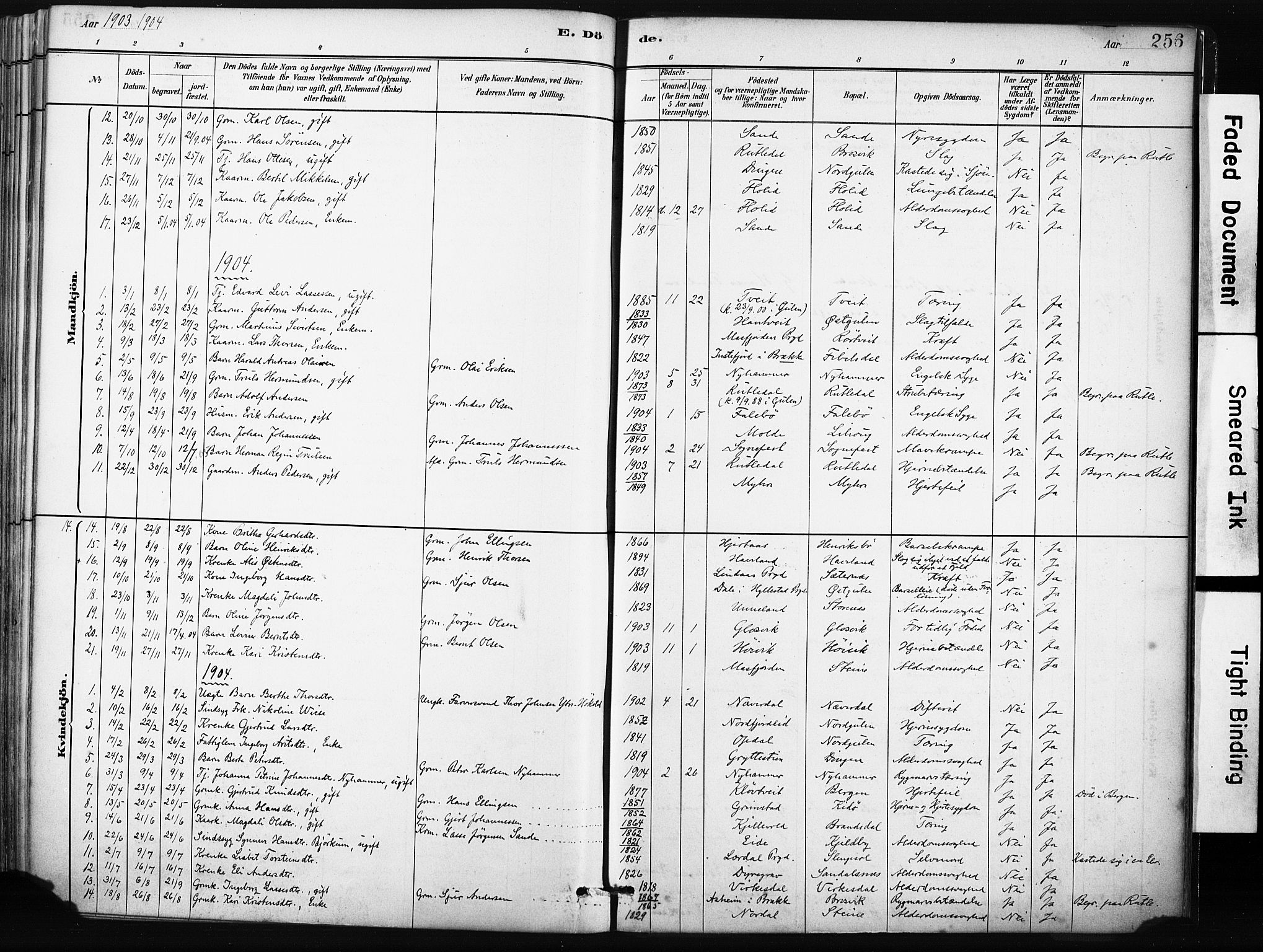 Gulen sokneprestembete, SAB/A-80201/H/Haa/Haab/L0001: Parish register (official) no. B 1, 1881-1905, p. 256