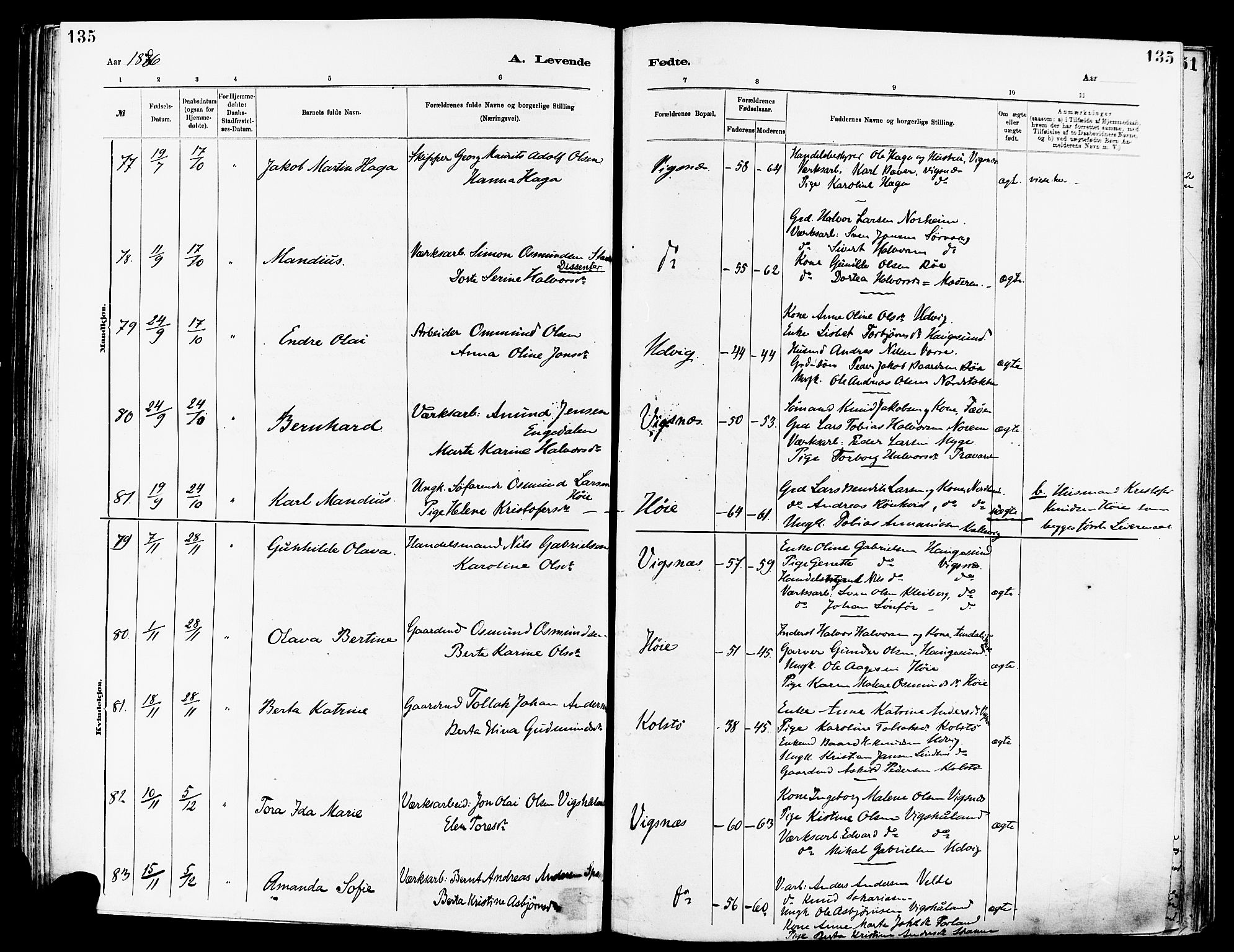 Avaldsnes sokneprestkontor, SAST/A -101851/H/Ha/Haa/L0014: Parish register (official) no. A 14, 1880-1889, p. 135