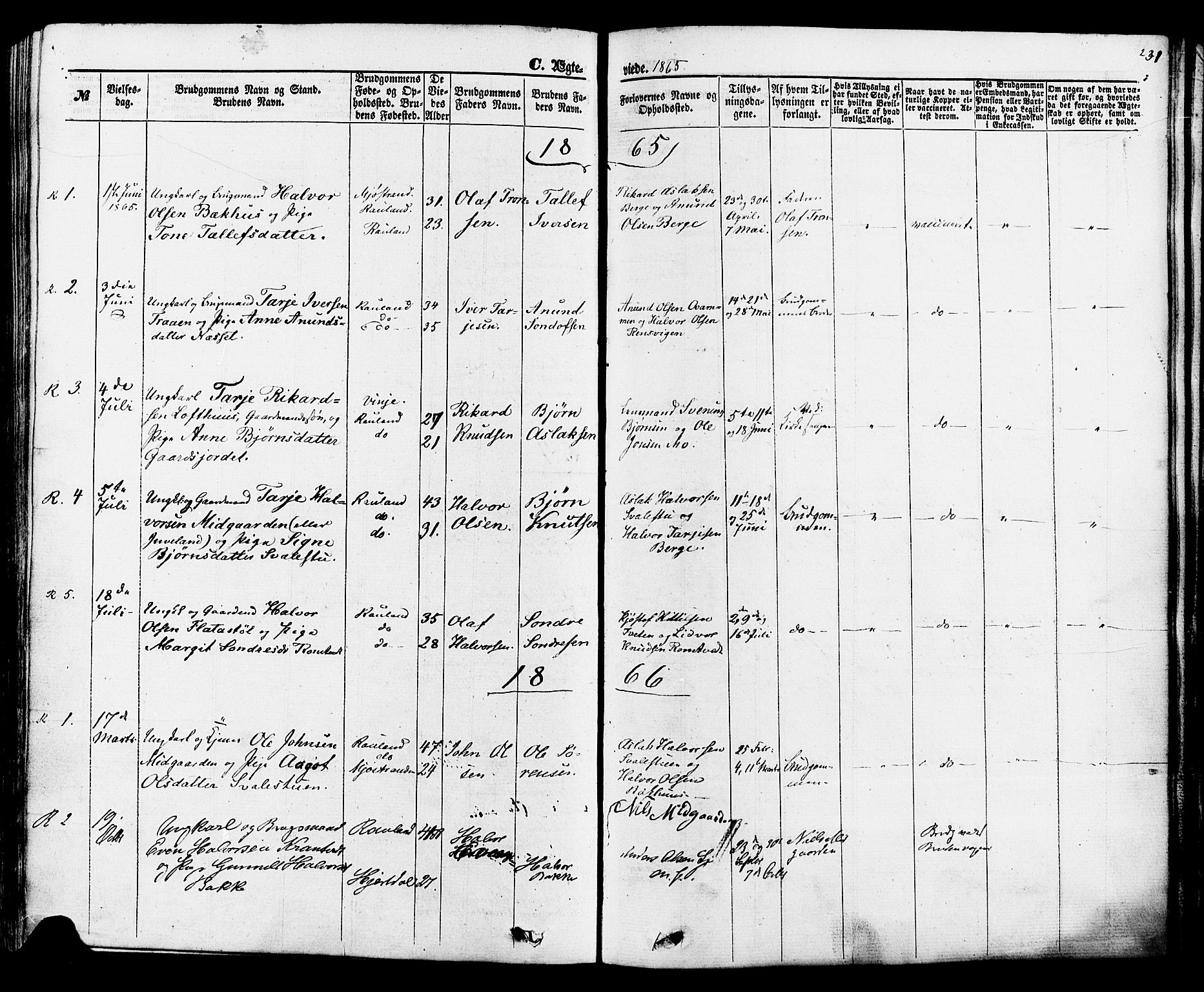 Rauland kirkebøker, SAKO/A-292/F/Fa/L0003: Parish register (official) no. 3, 1859-1886, p. 231