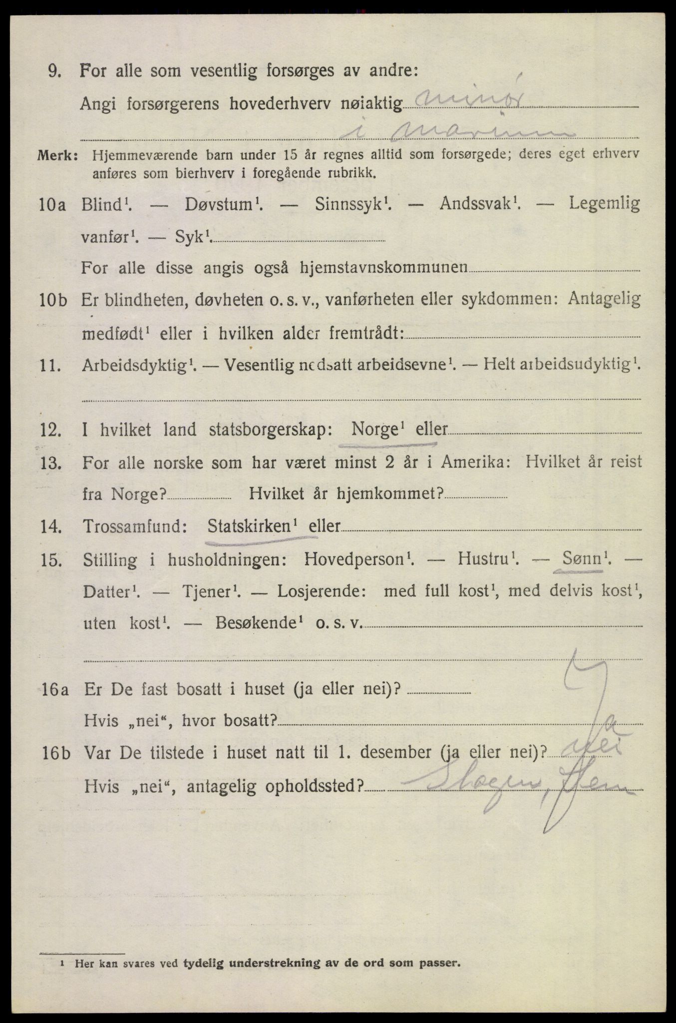 SAKO, 1920 census for Borre, 1920, p. 4973