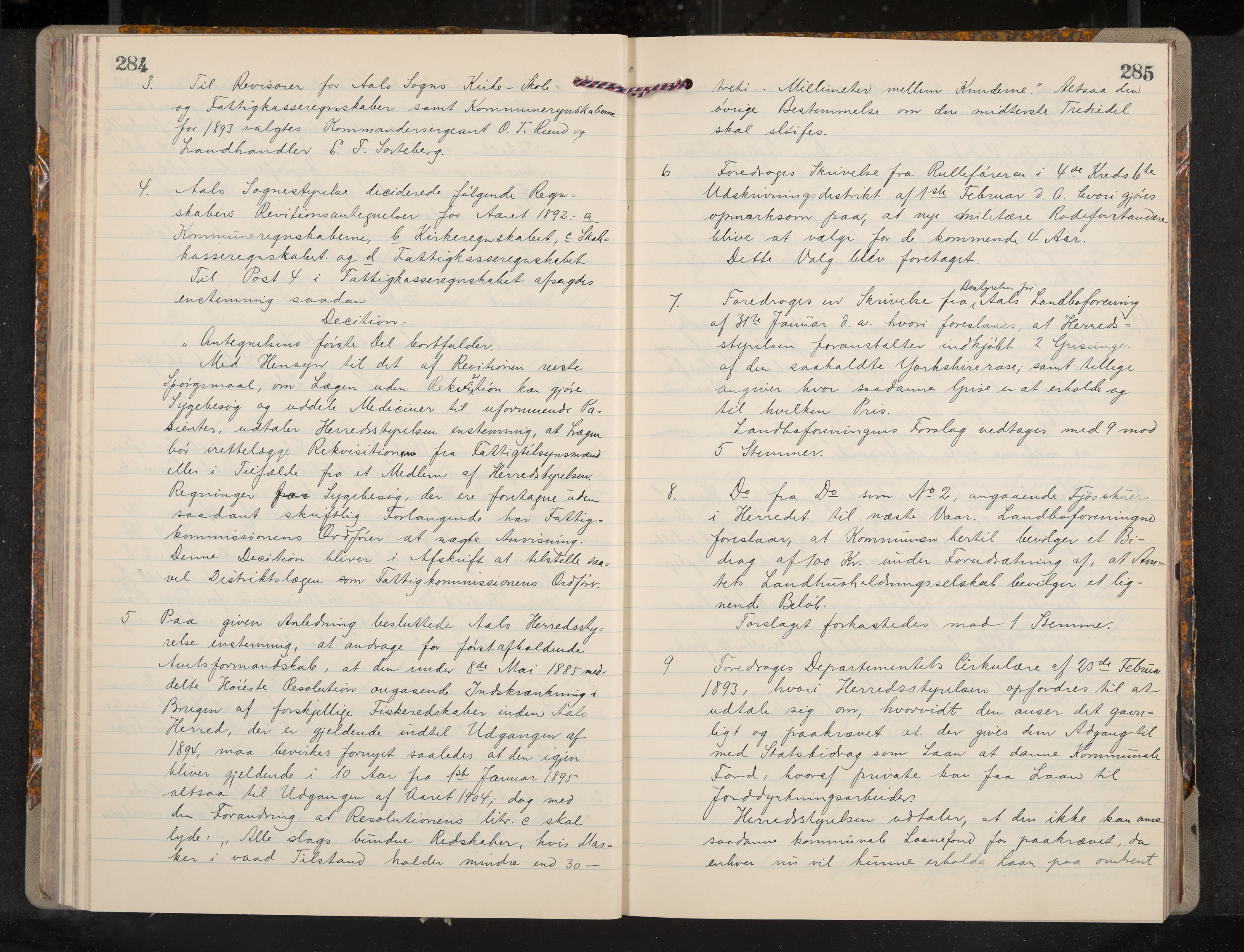 Ål formannskap og sentraladministrasjon, IKAK/0619021/A/Aa/L0004: Utskrift av møtebok, 1881-1901, p. 284-285