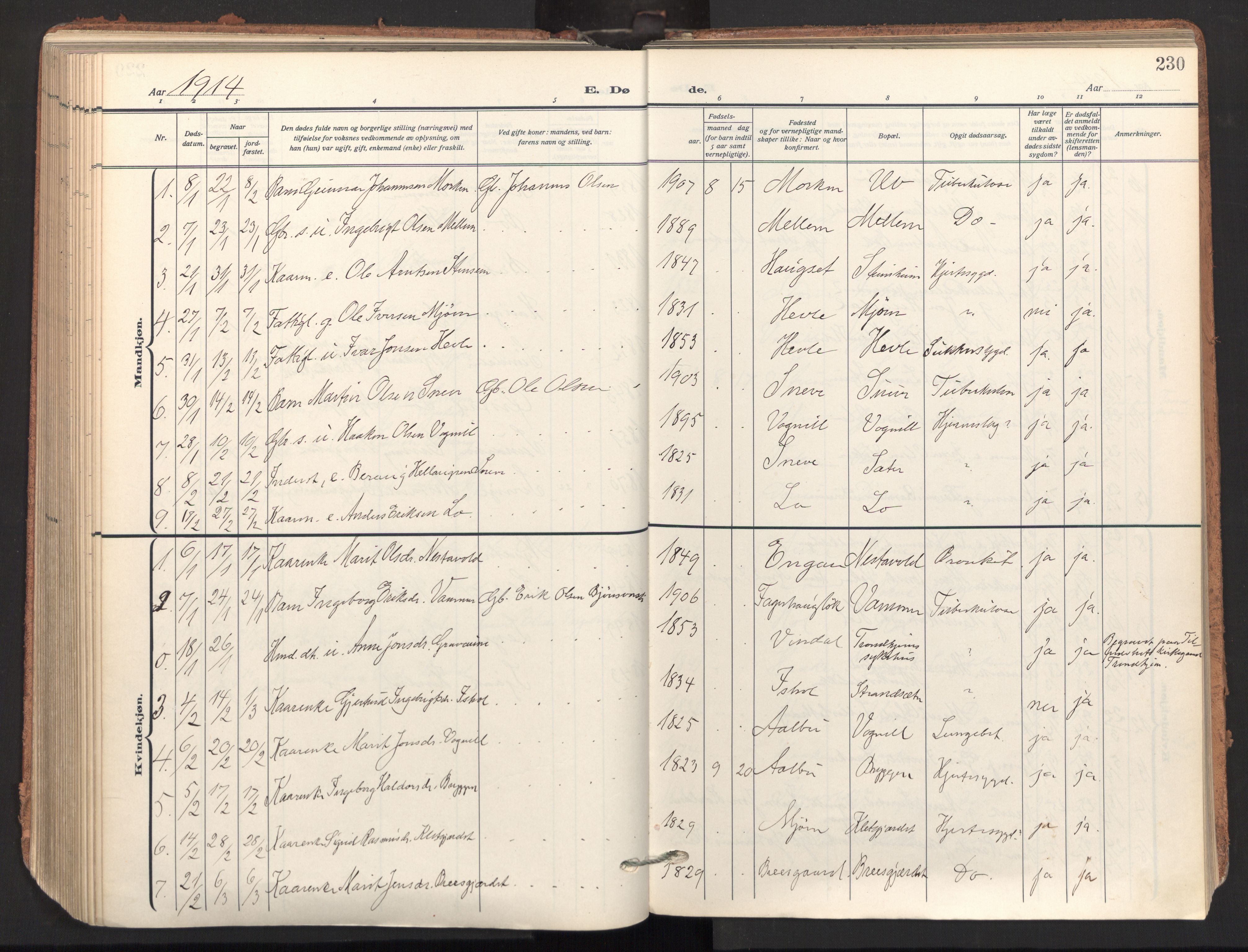 Ministerialprotokoller, klokkerbøker og fødselsregistre - Sør-Trøndelag, SAT/A-1456/678/L0909: Parish register (official) no. 678A17, 1912-1930, p. 230