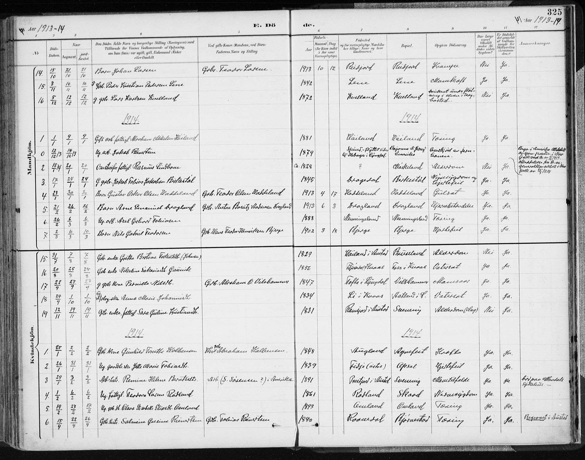 Lyngdal sokneprestkontor, AV/SAK-1111-0029/F/Fa/Fac/L0012: Parish register (official) no. A 12, 1894-1918, p. 325