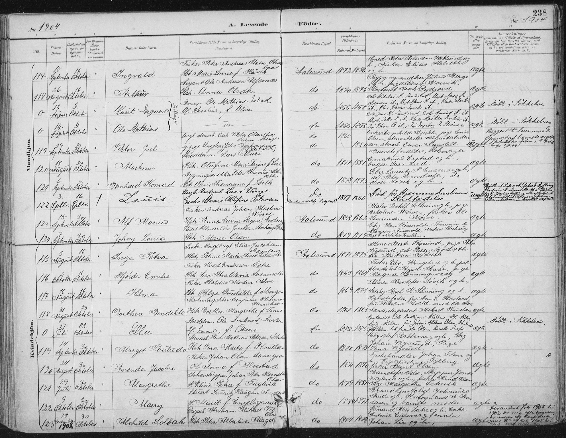 Ministerialprotokoller, klokkerbøker og fødselsregistre - Møre og Romsdal, SAT/A-1454/529/L0456: Parish register (official) no. 529A06, 1894-1906, p. 238
