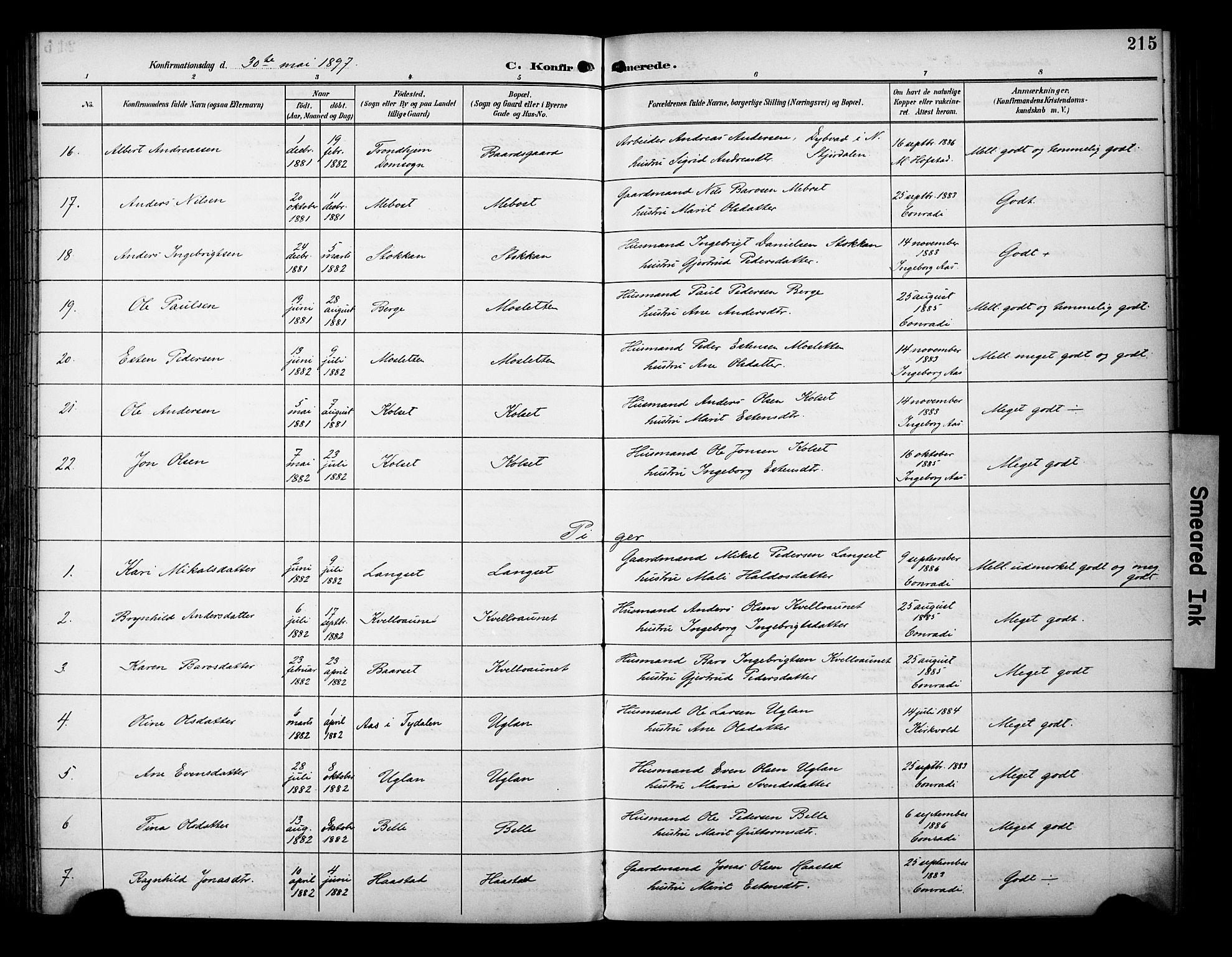 Ministerialprotokoller, klokkerbøker og fødselsregistre - Sør-Trøndelag, AV/SAT-A-1456/695/L1149: Parish register (official) no. 695A09, 1891-1902, p. 215