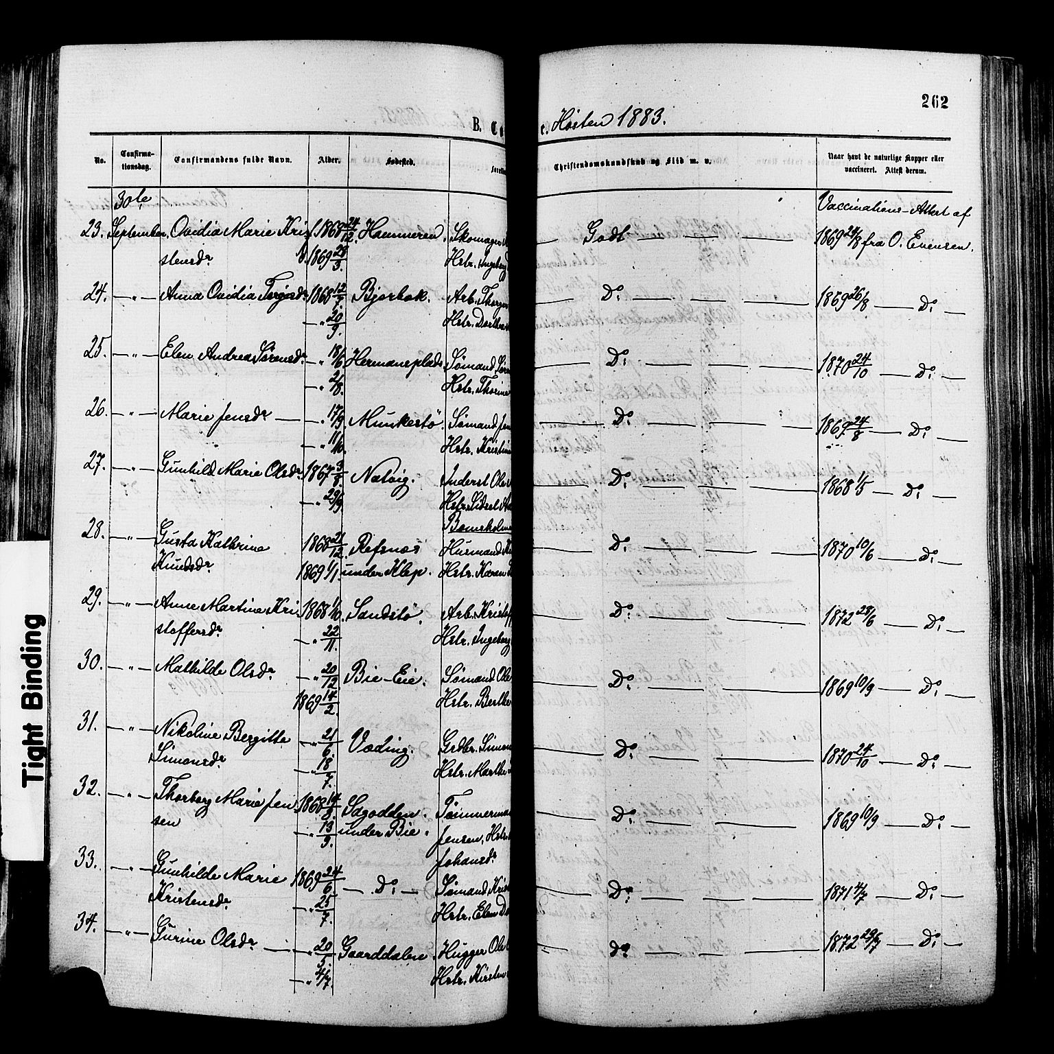 Øyestad sokneprestkontor, AV/SAK-1111-0049/F/Fa/L0016: Parish register (official) no. A 16, 1874-1886, p. 262