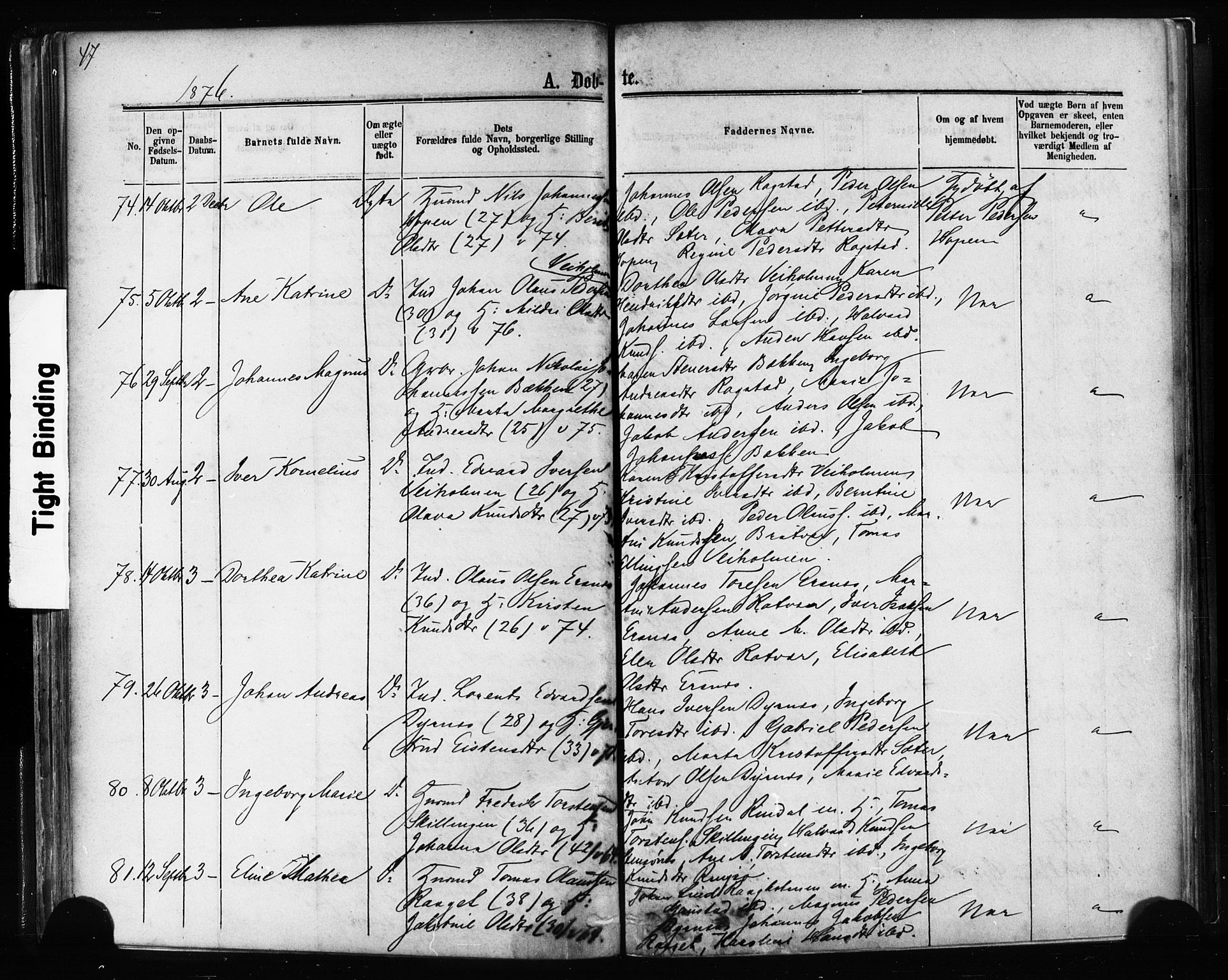 Ministerialprotokoller, klokkerbøker og fødselsregistre - Møre og Romsdal, AV/SAT-A-1454/581/L0938: Parish register (official) no. 581A06, 1873-1879, p. 47