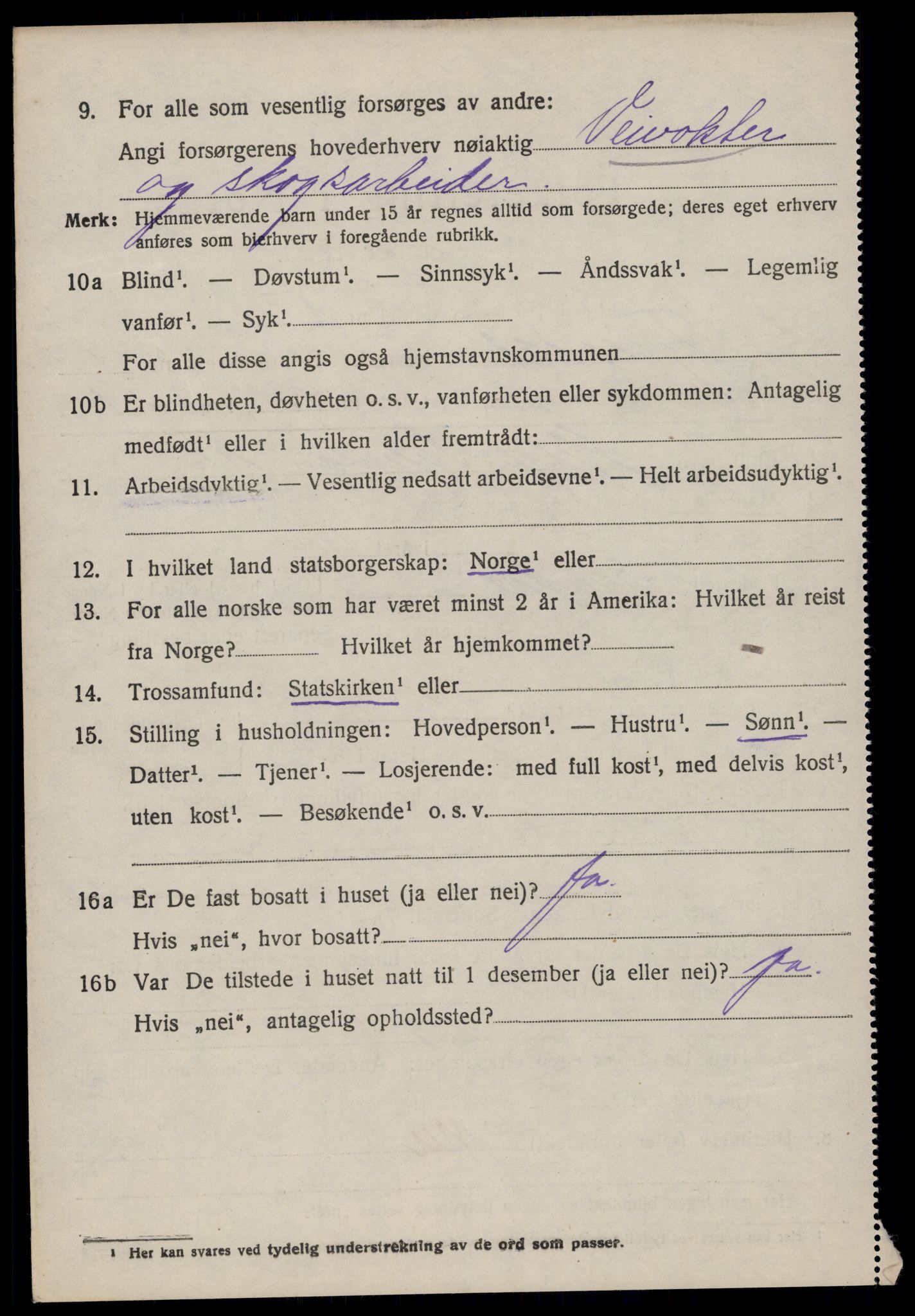 SAKO, 1920 census for Fyresdal, 1920, p. 974