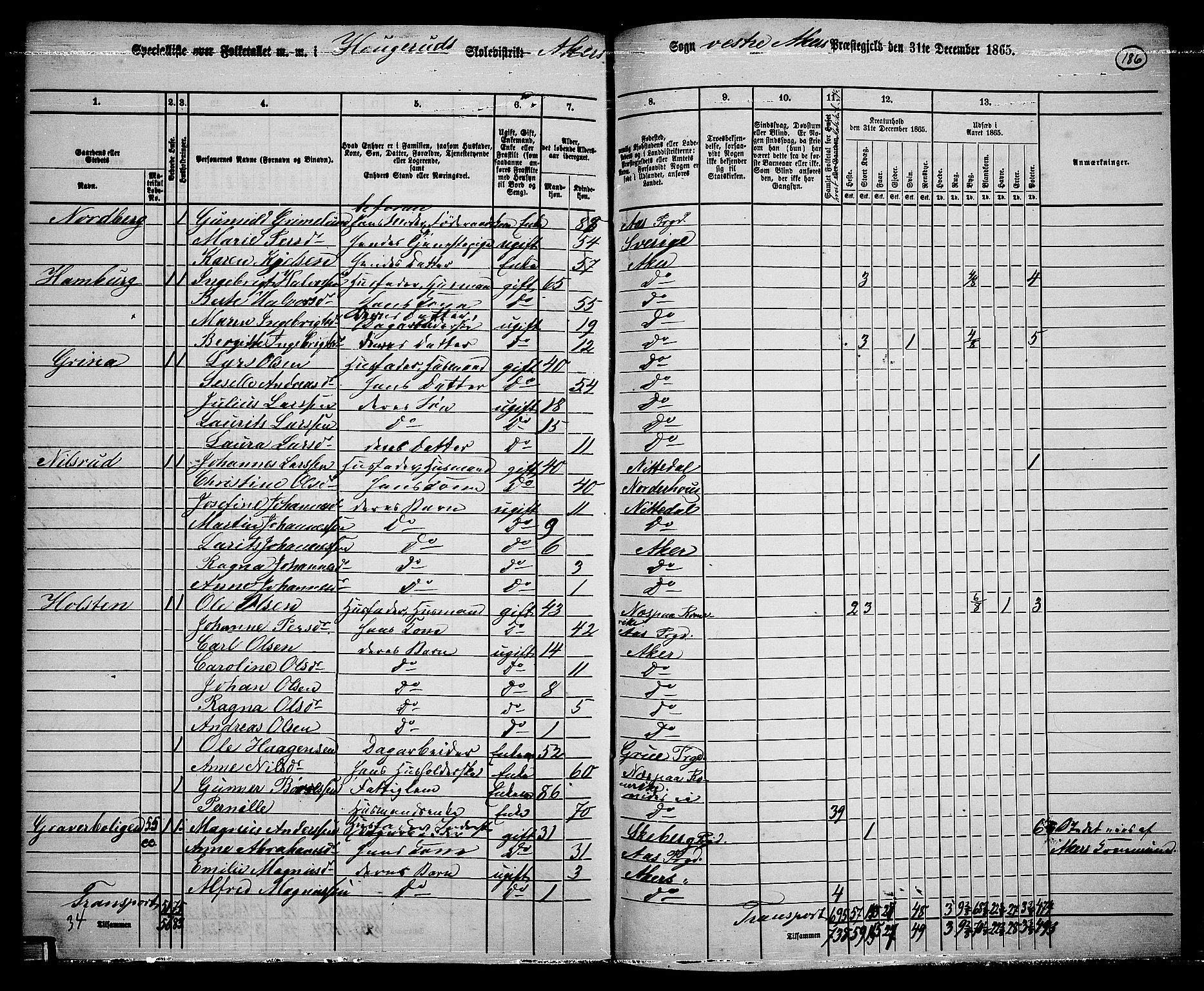 RA, 1865 census for Vestre Aker, 1865, p. 167