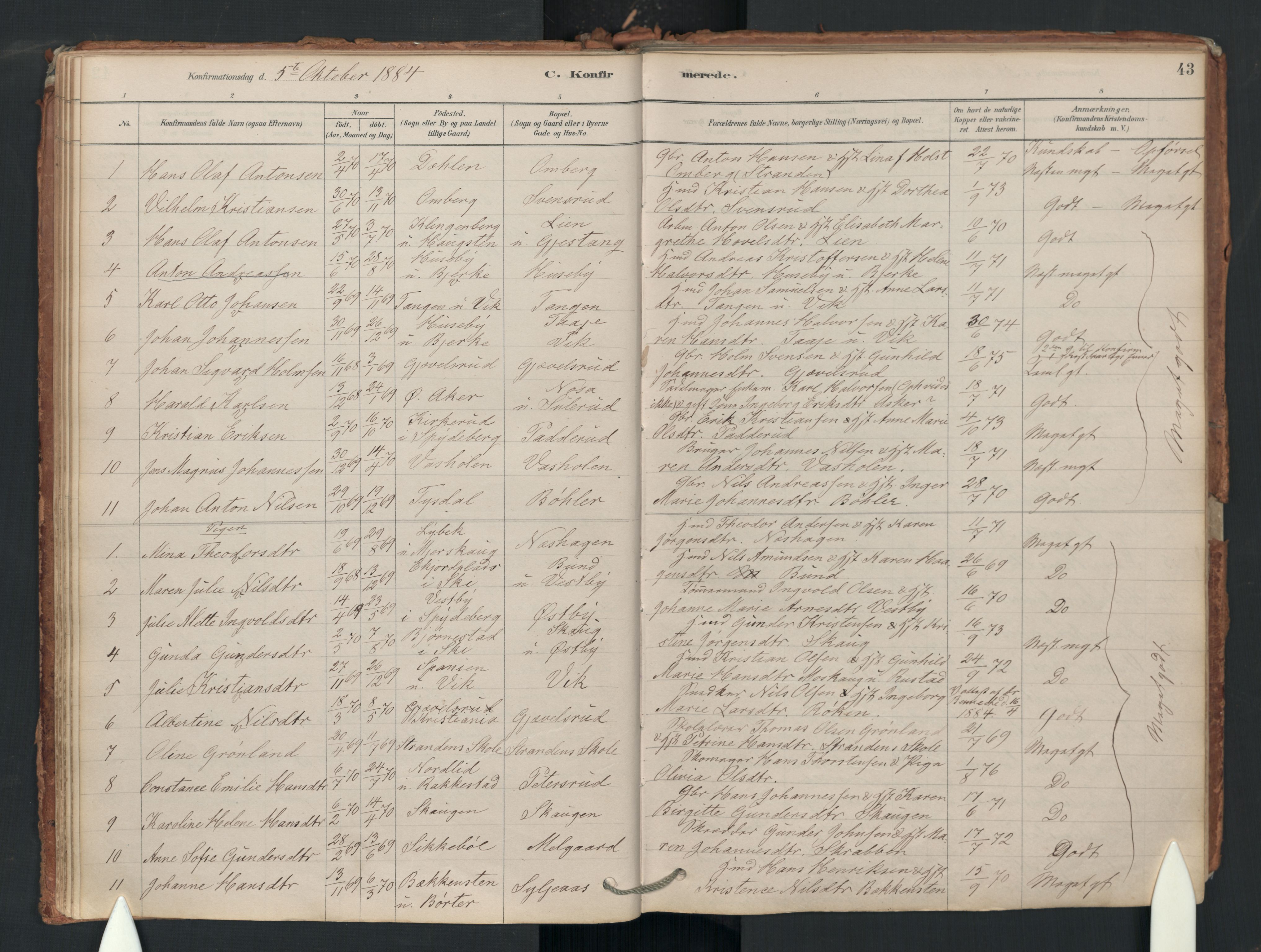 Enebakk prestekontor Kirkebøker, SAO/A-10171c/F/Fa/L0018: Parish register (official) no. I 18, 1877-1930, p. 43
