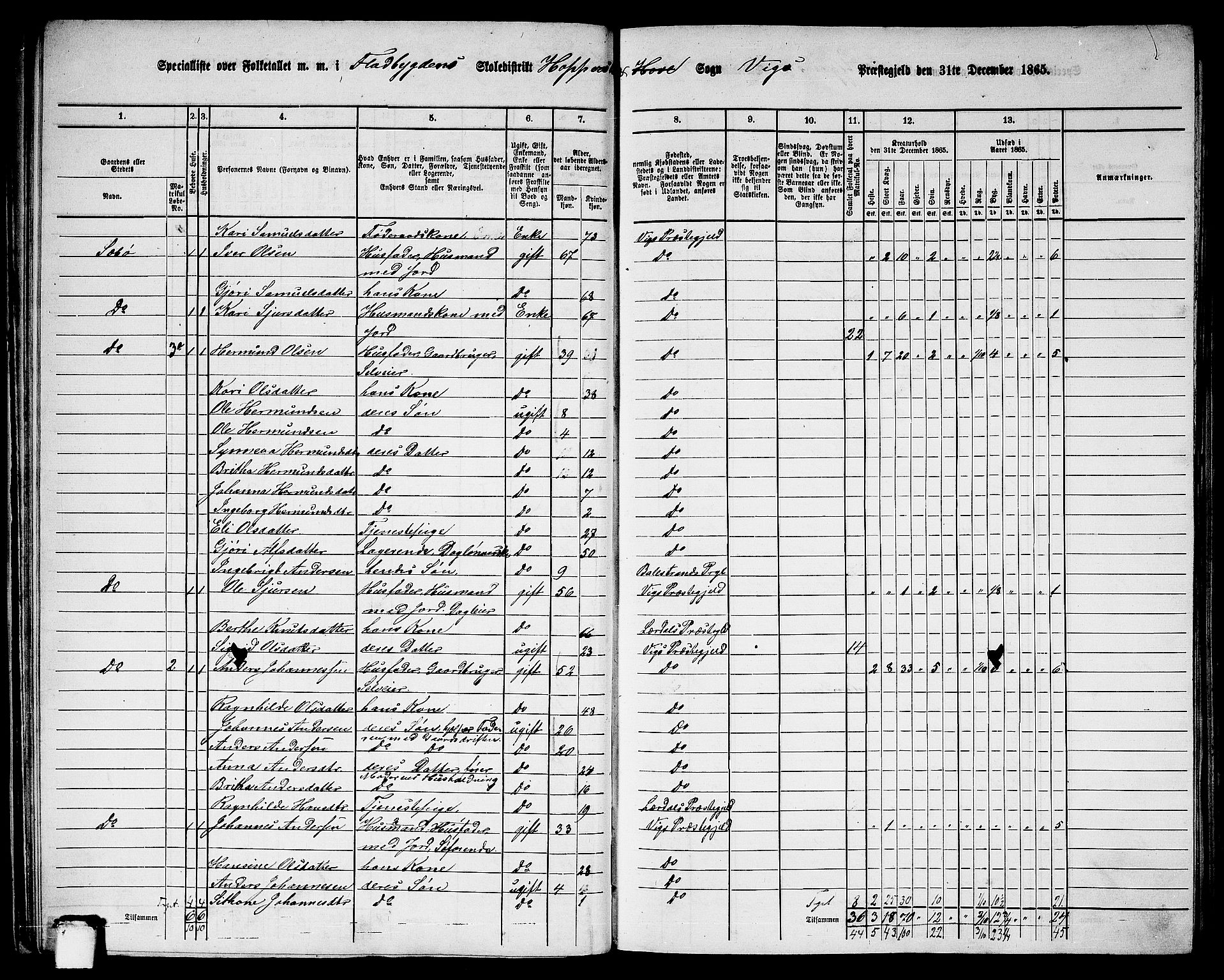 RA, 1865 census for Vik, 1865, p. 33