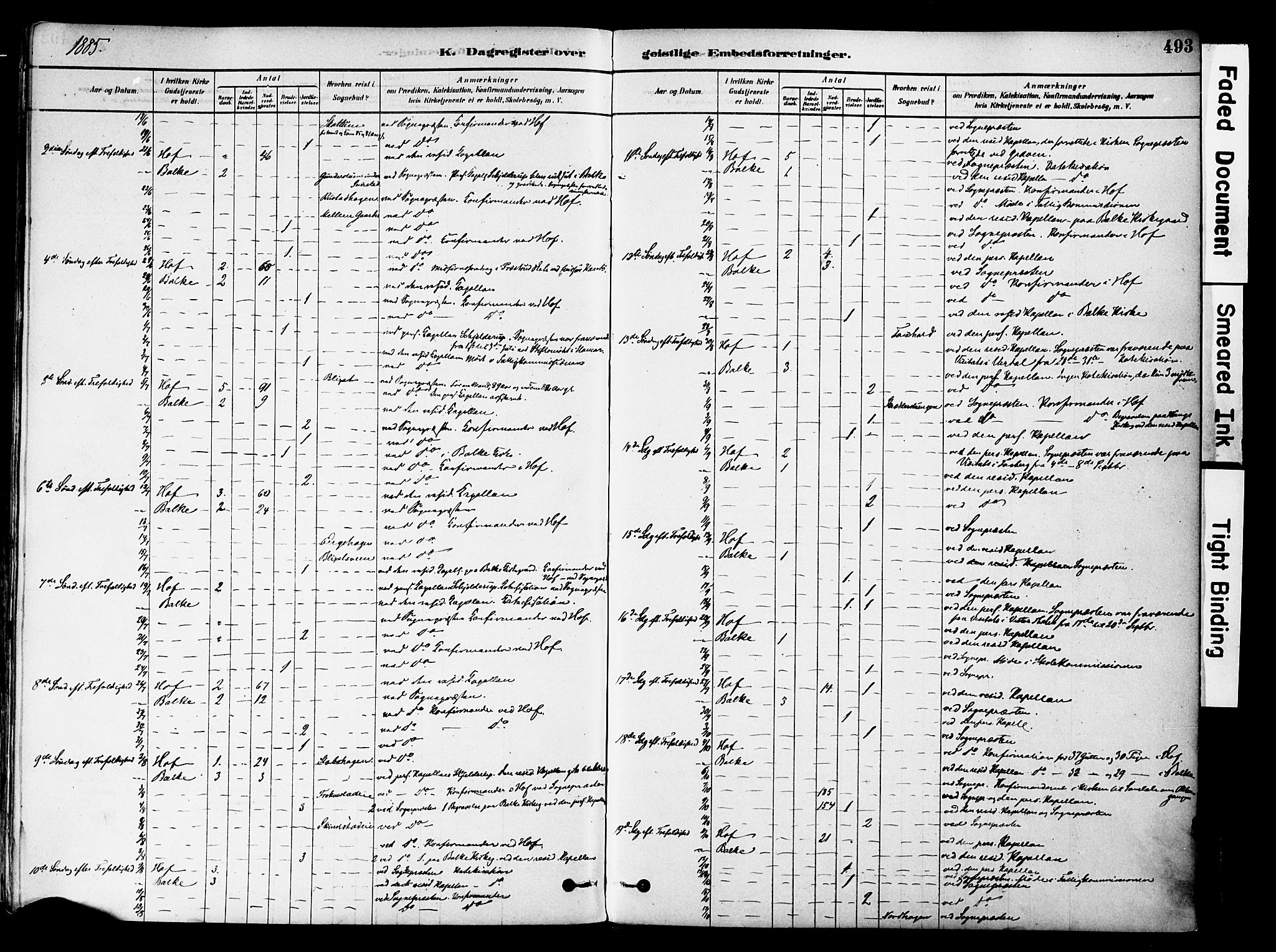 Østre Toten prestekontor, SAH/PREST-104/H/Ha/Haa/L0006: Parish register (official) no. 6 /1, 1878-1896, p. 493