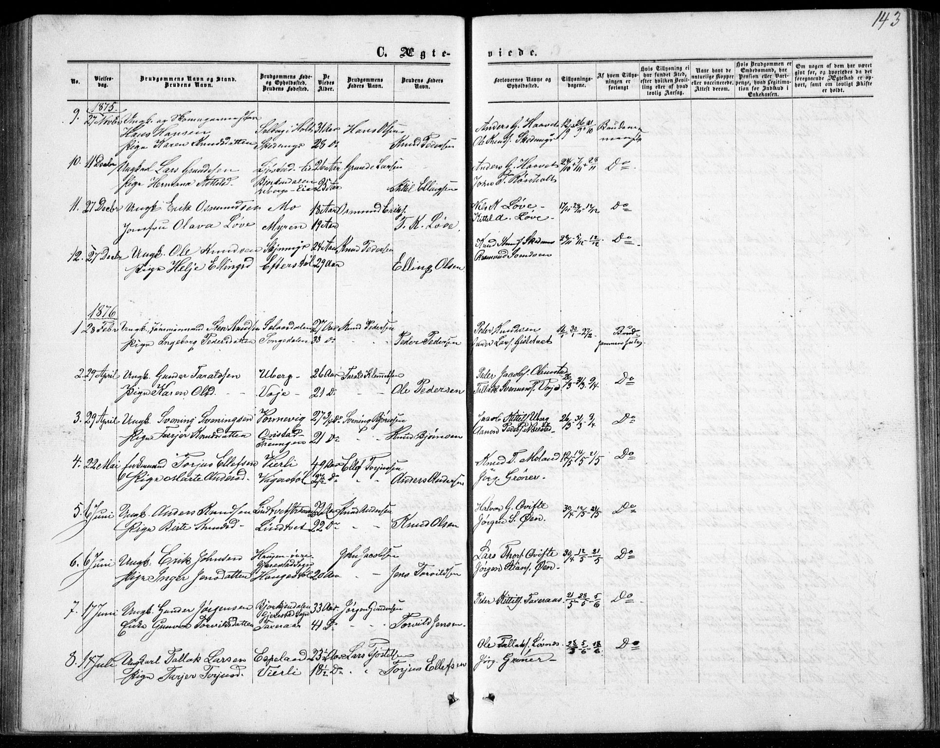 Gjerstad sokneprestkontor, AV/SAK-1111-0014/F/Fb/Fbb/L0003: Parish register (copy) no. B 3, 1862-1889, p. 143