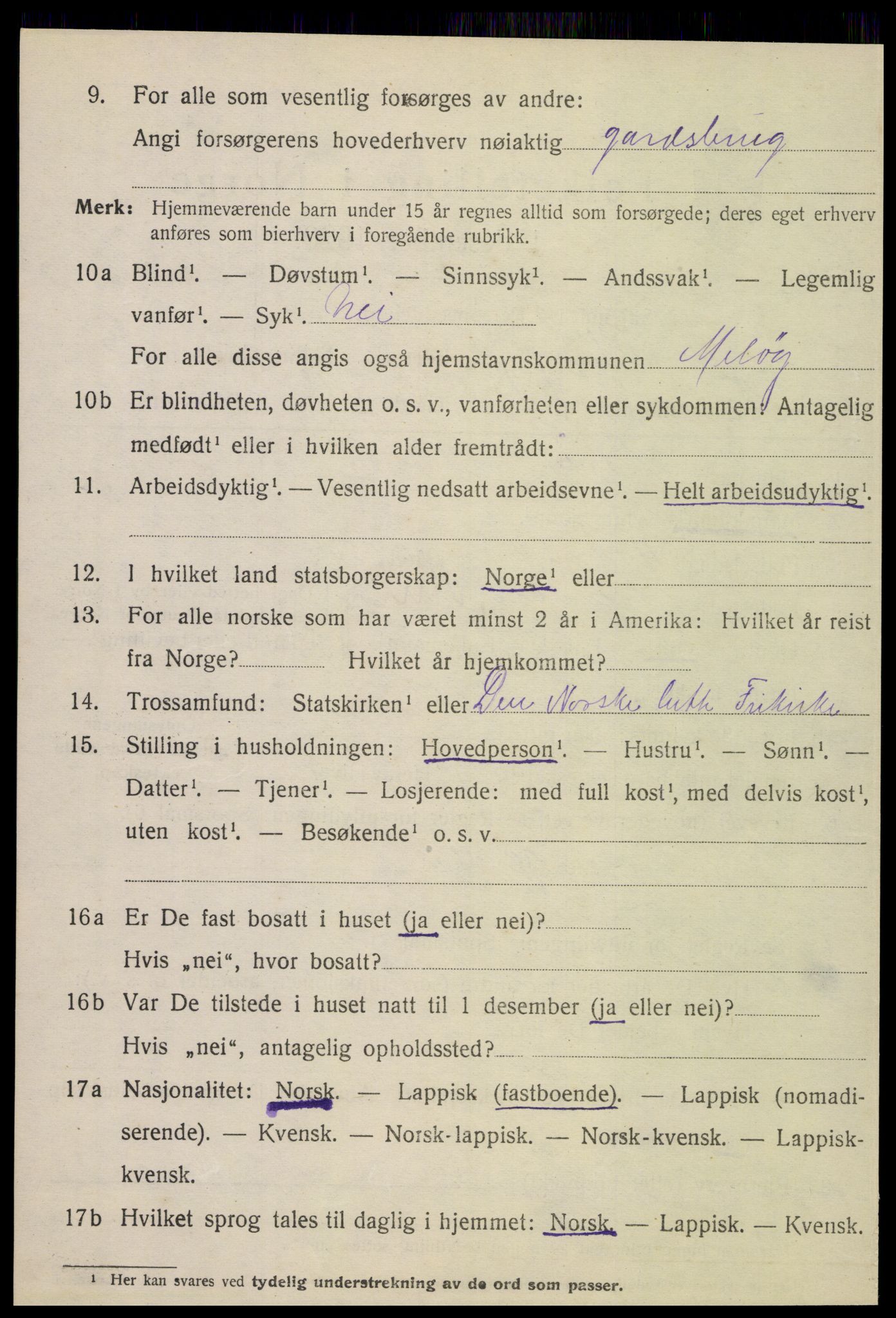 SAT, 1920 census for Meløy, 1920, p. 3146