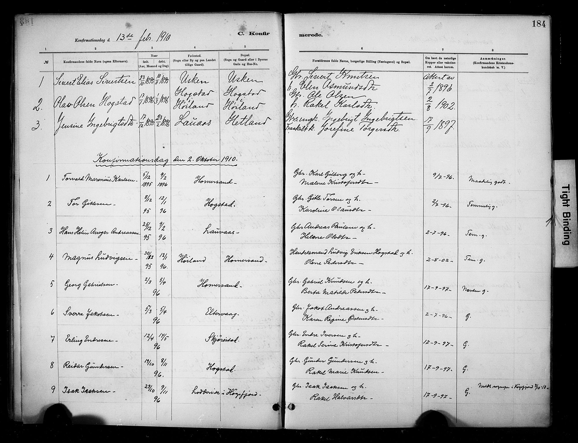 Hetland sokneprestkontor, SAST/A-101826/30/30BA/L0010: Parish register (official) no. A 10, 1882-1925, p. 184