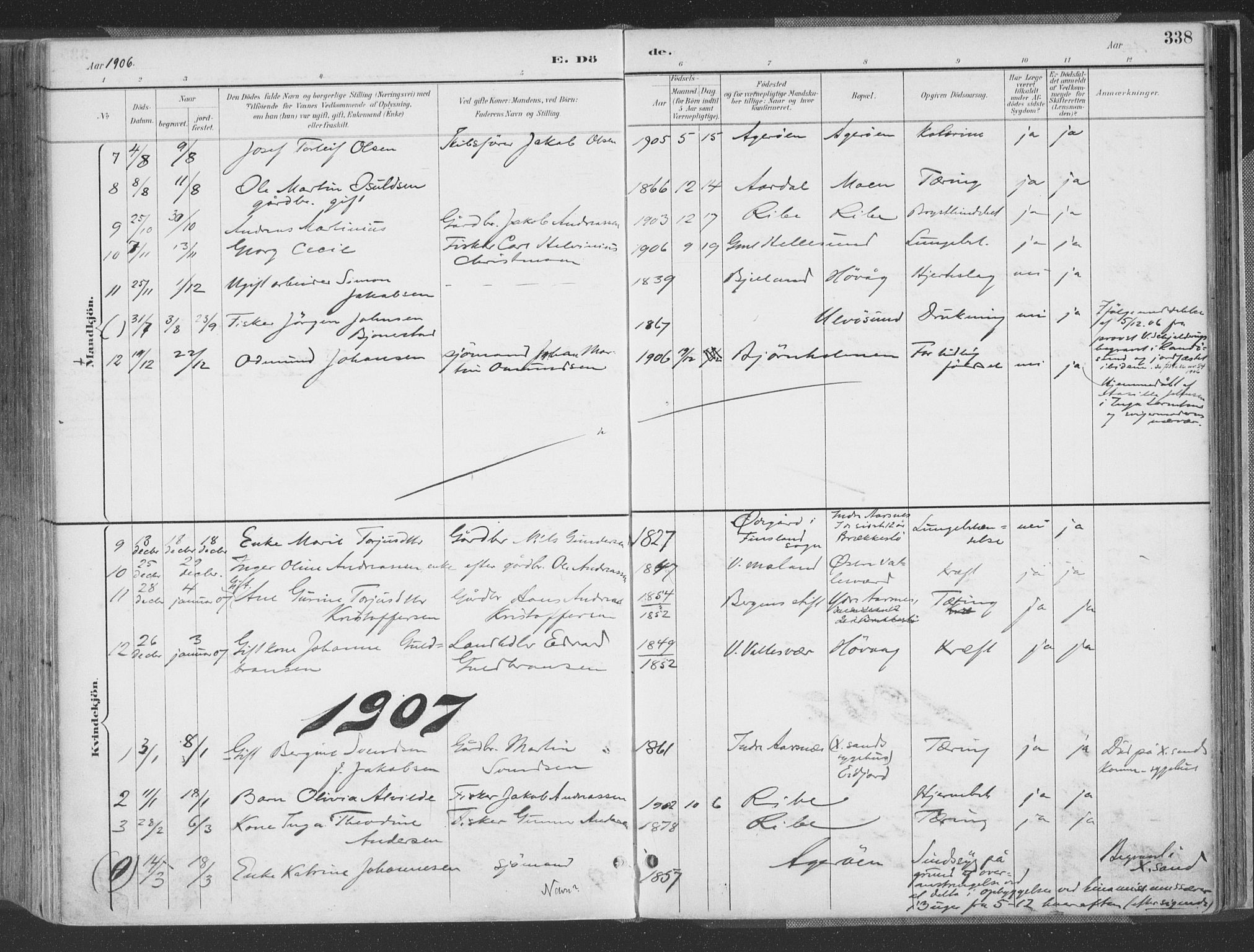 Høvåg sokneprestkontor, SAK/1111-0025/F/Fa/L0006: Parish register (official) no. A 6, 1894-1923, p. 338