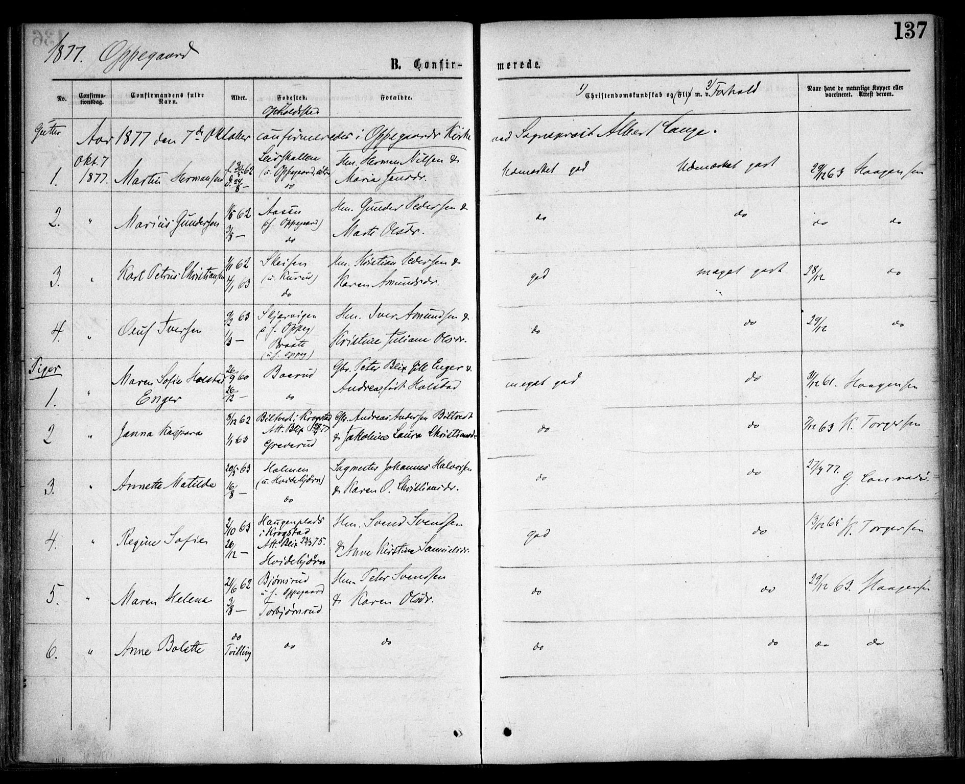 Nesodden prestekontor Kirkebøker, SAO/A-10013/F/Fa/L0008: Parish register (official) no. I 8, 1869-1879, p. 137