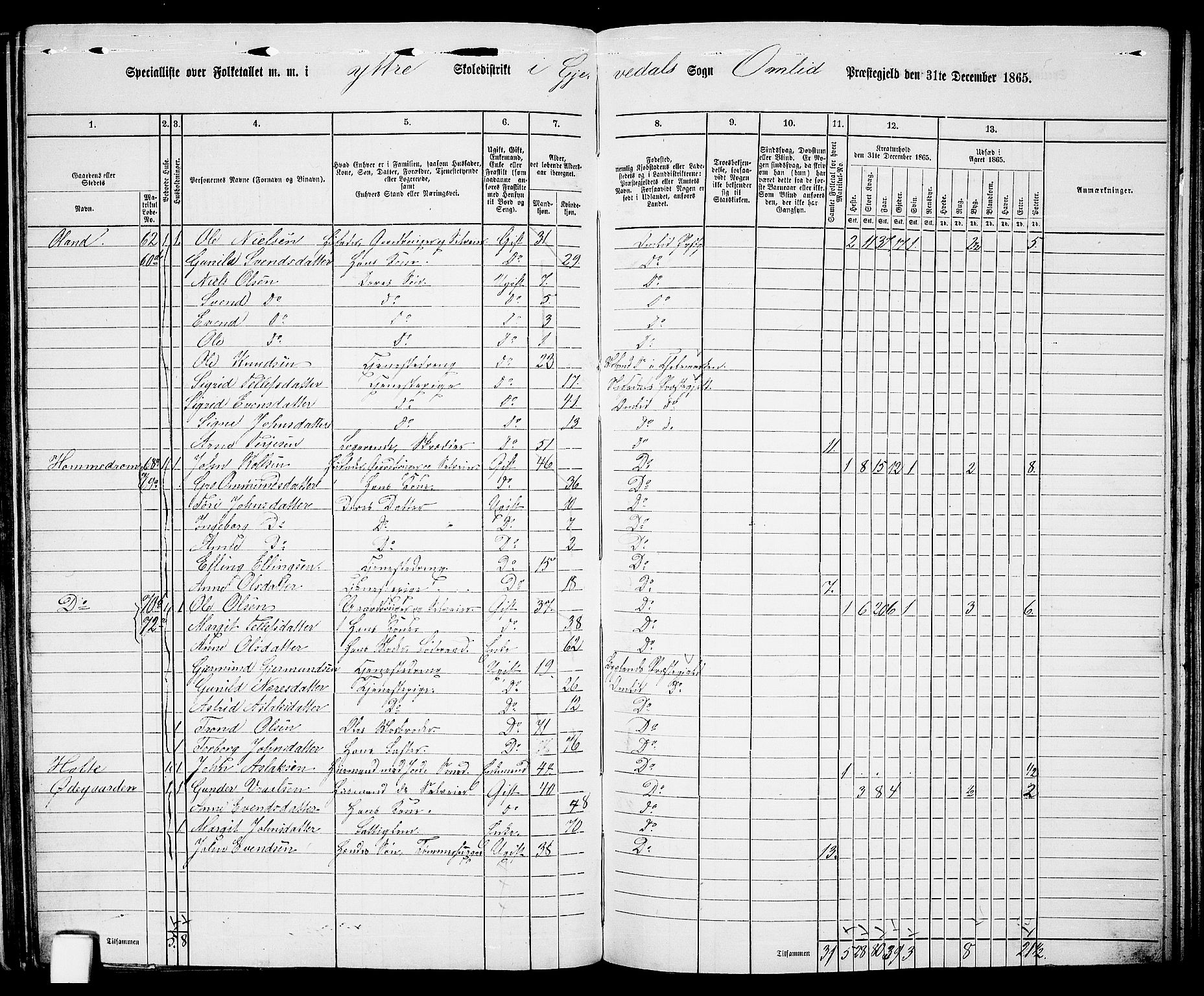 RA, 1865 census for Åmli, 1865, p. 70