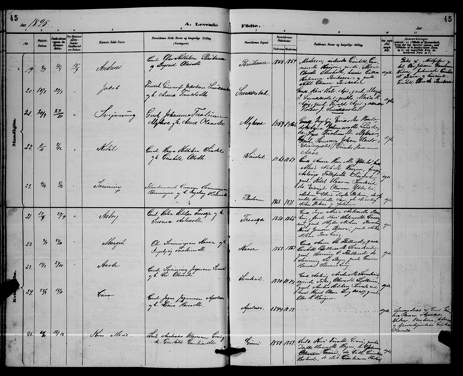 Lunde kirkebøker, SAKO/A-282/G/Ga/L0002: Parish register (copy) no. I 2, 1887-1896, p. 45