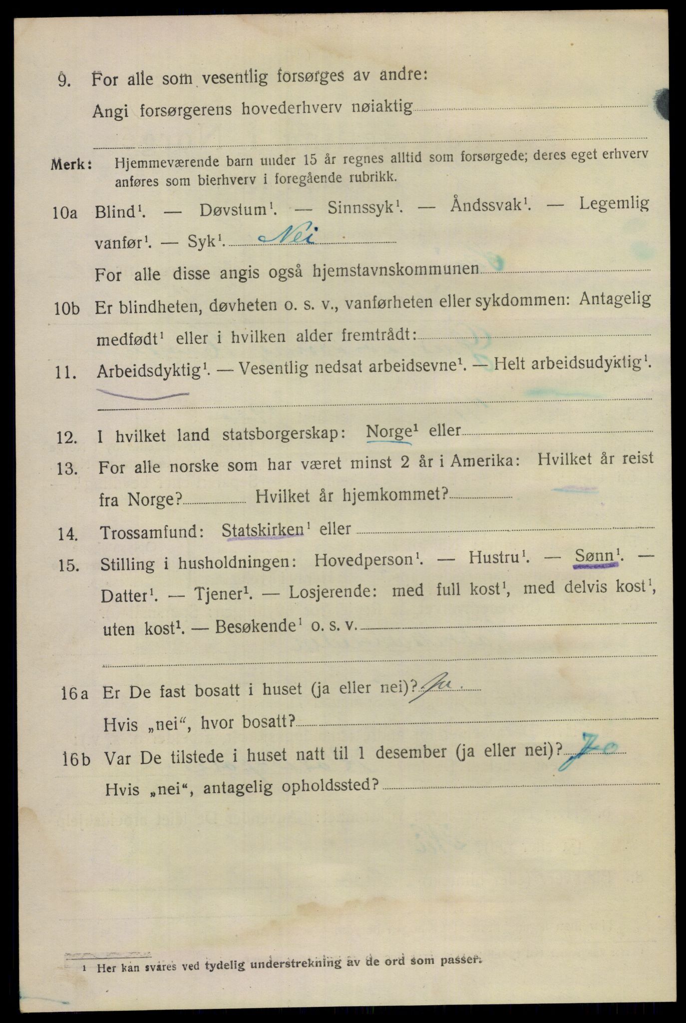 SAKO, 1920 census for Skien, 1920, p. 33141