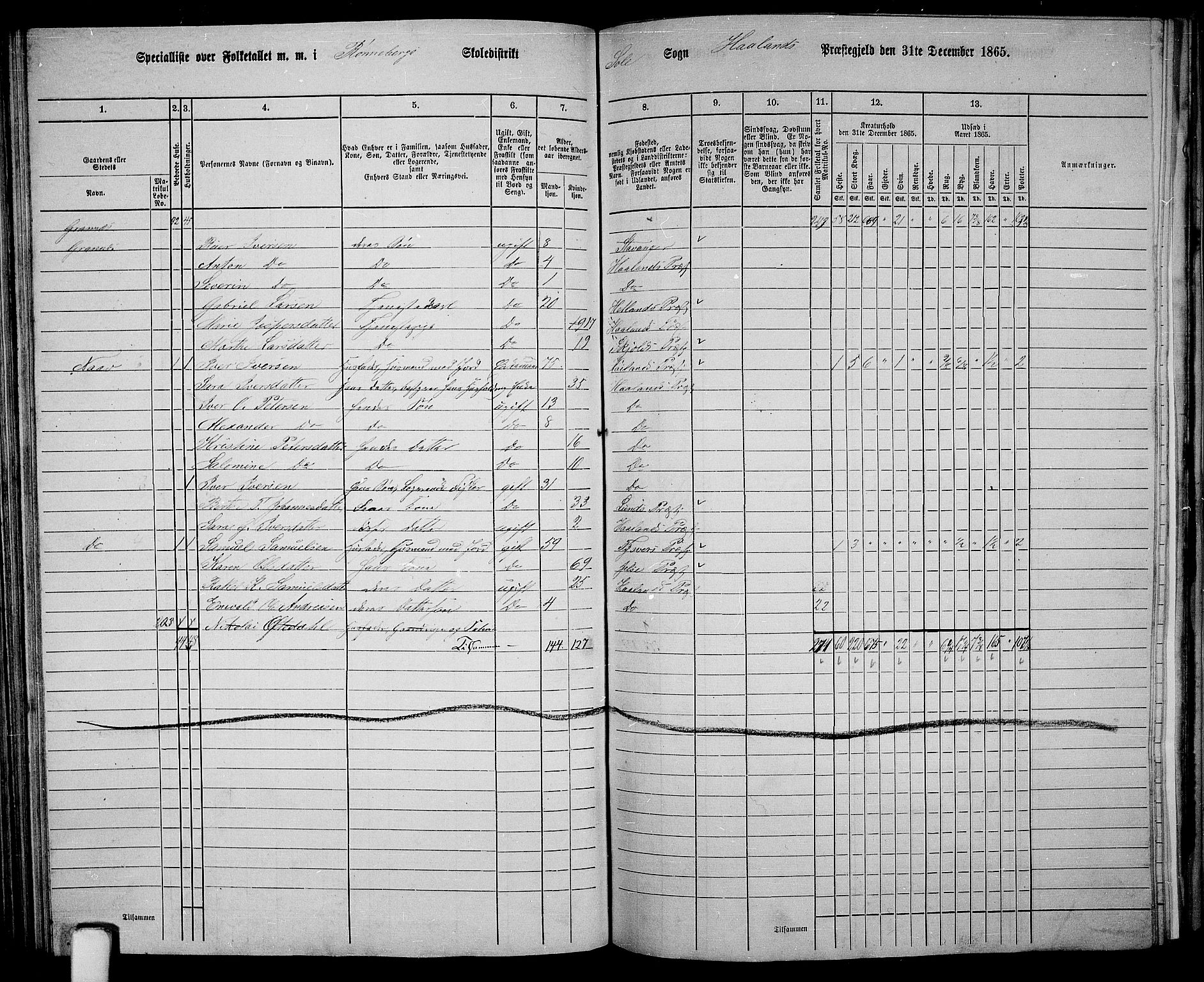 RA, 1865 census for Håland, 1865, p. 94
