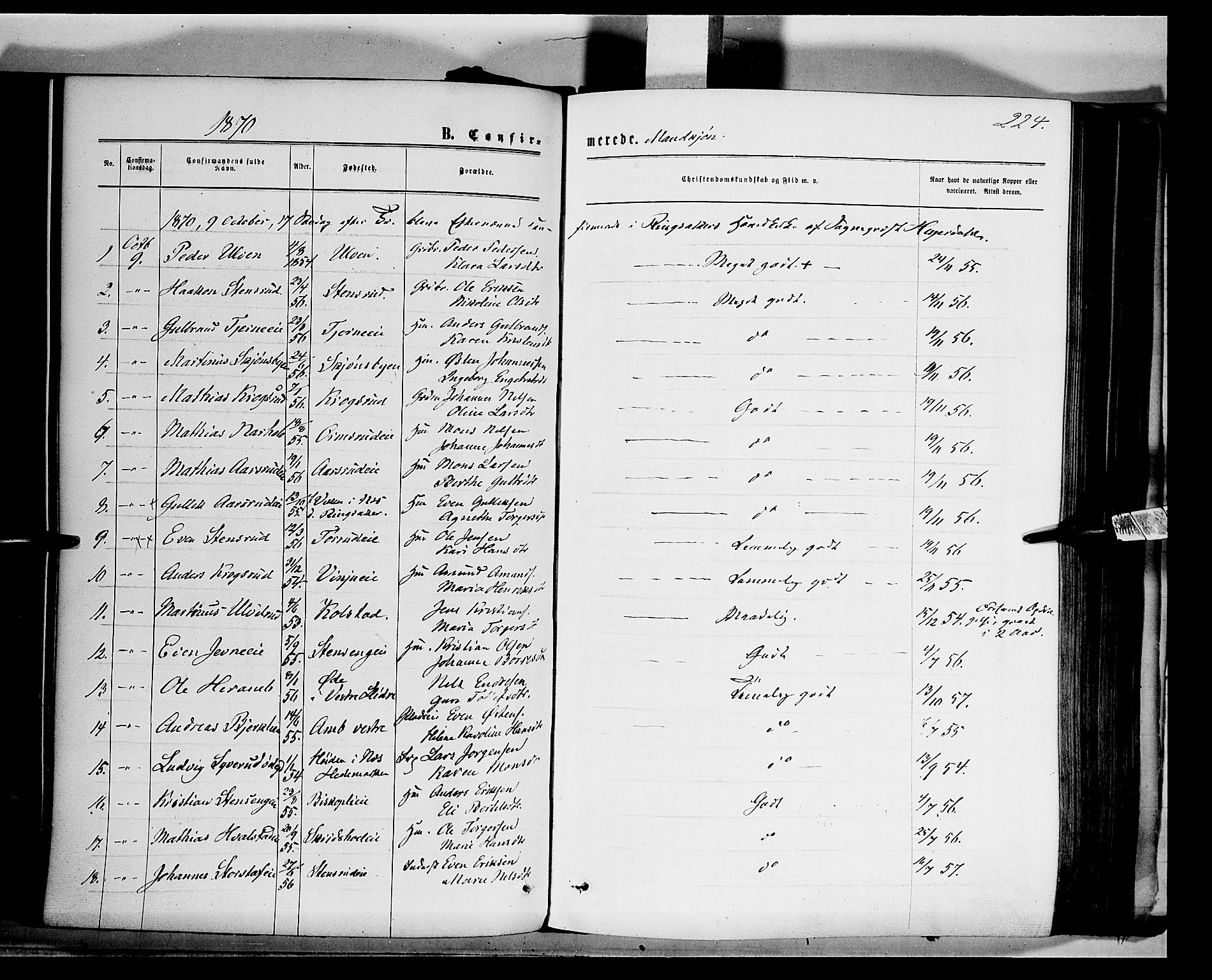 Ringsaker prestekontor, SAH/PREST-014/K/Ka/L0011: Parish register (official) no. 11, 1870-1878, p. 224