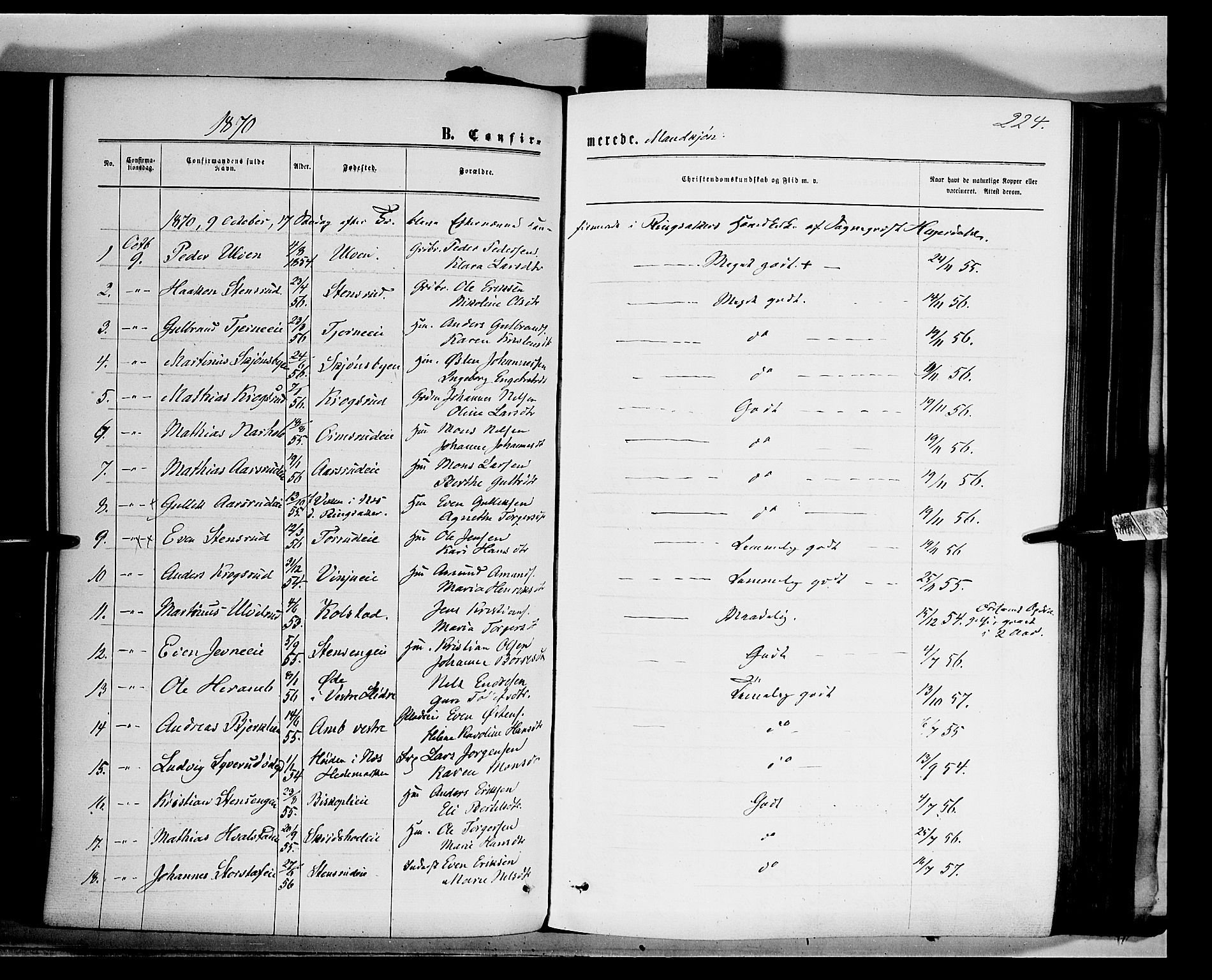 Ringsaker prestekontor, AV/SAH-PREST-014/K/Ka/L0011: Parish register (official) no. 11, 1870-1878, p. 224