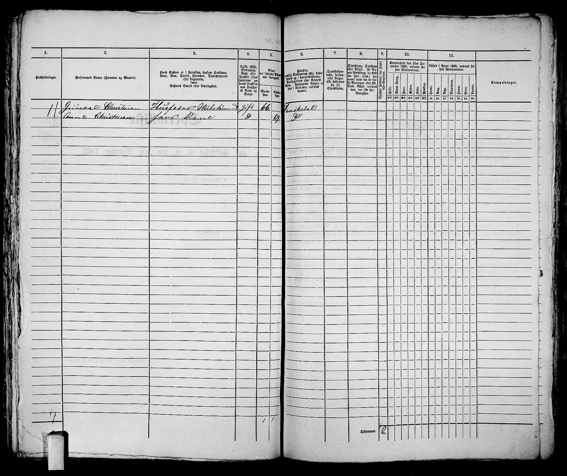 RA, 1865 census for Kragerø/Kragerø, 1865, p. 501