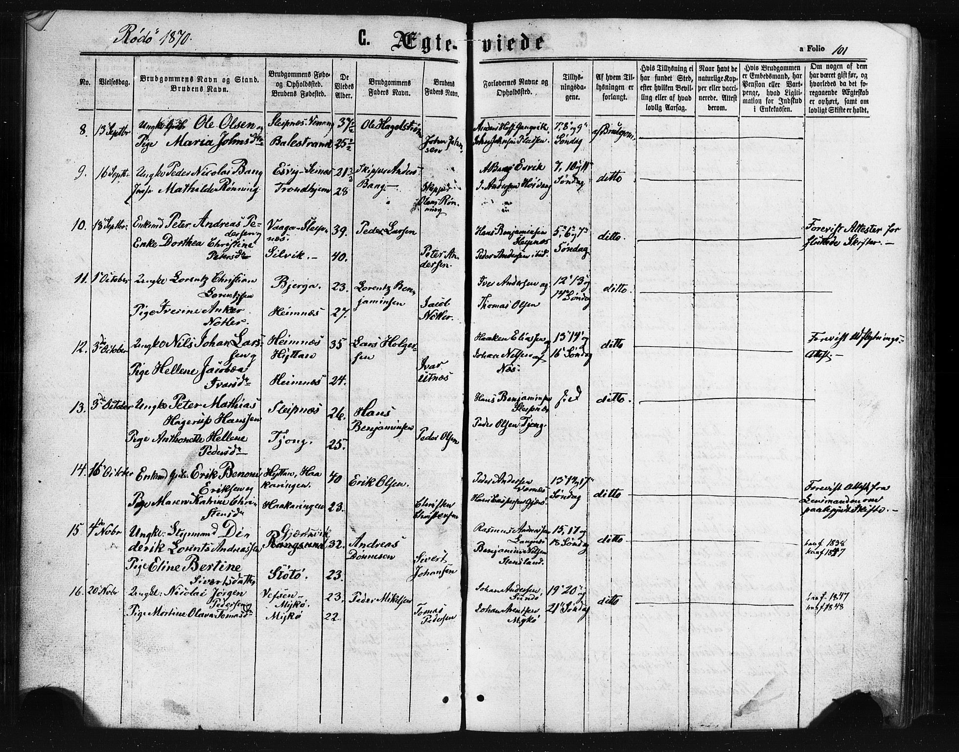 Ministerialprotokoller, klokkerbøker og fødselsregistre - Nordland, AV/SAT-A-1459/841/L0607: Parish register (official) no. 841A11 /1, 1863-1877, p. 101