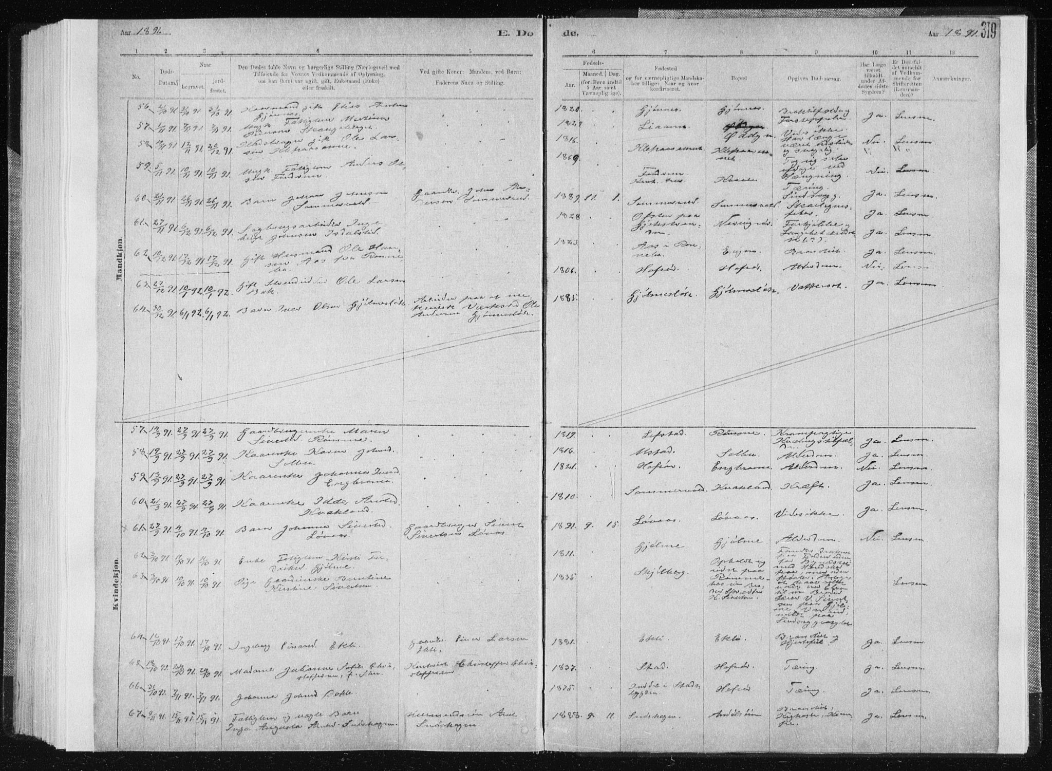 Ministerialprotokoller, klokkerbøker og fødselsregistre - Sør-Trøndelag, AV/SAT-A-1456/668/L0818: Parish register (copy) no. 668C07, 1885-1898, p. 319