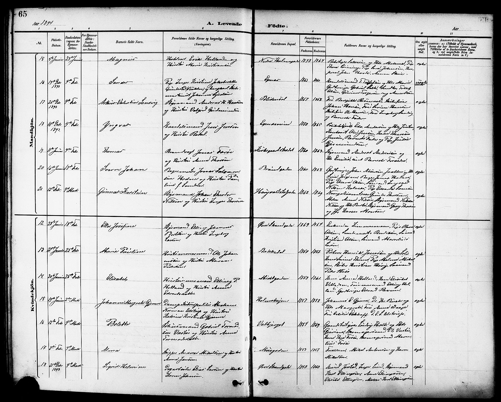 Domkirken sokneprestkontor, AV/SAST-A-101812/001/30/30BB/L0016: Parish register (copy) no. B 16, 1891-1902, p. 65