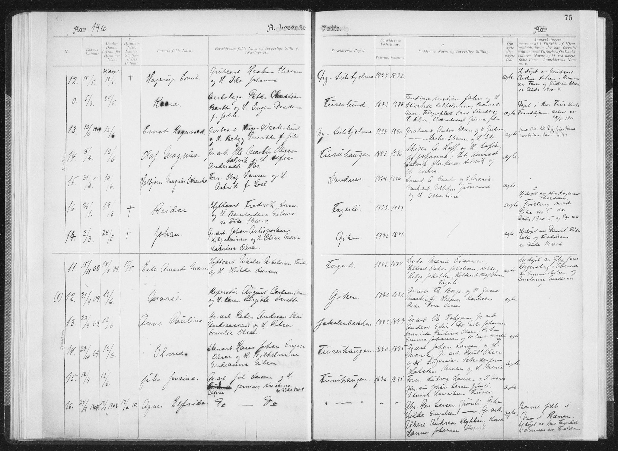 Ministerialprotokoller, klokkerbøker og fødselsregistre - Nordland, AV/SAT-A-1459/850/L0711: Curate's parish register no. 850B01, 1902-1915, p. 75