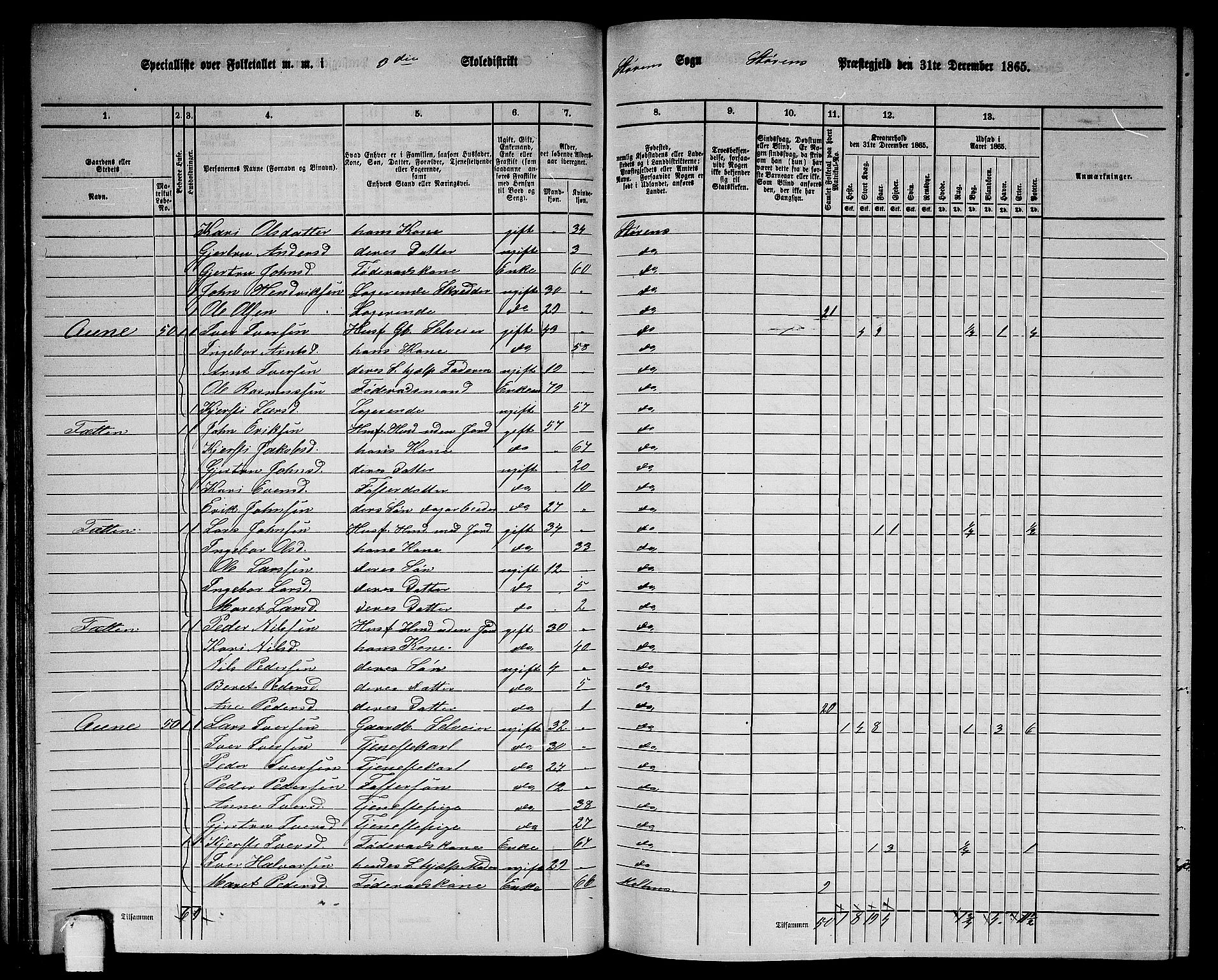 RA, 1865 census for Støren, 1865, p. 58