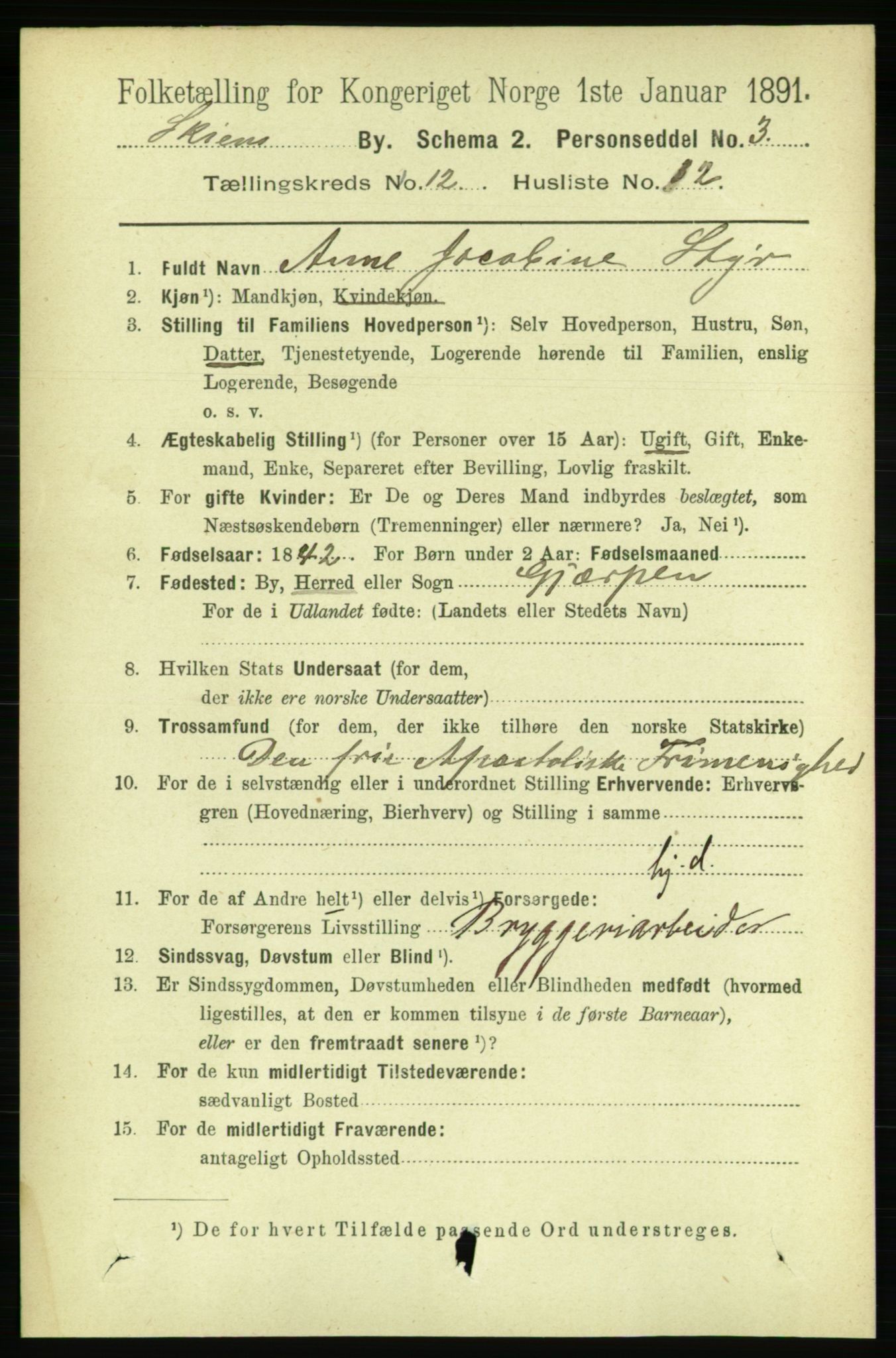 RA, 1891 census for 0806 Skien, 1891, p. 4078