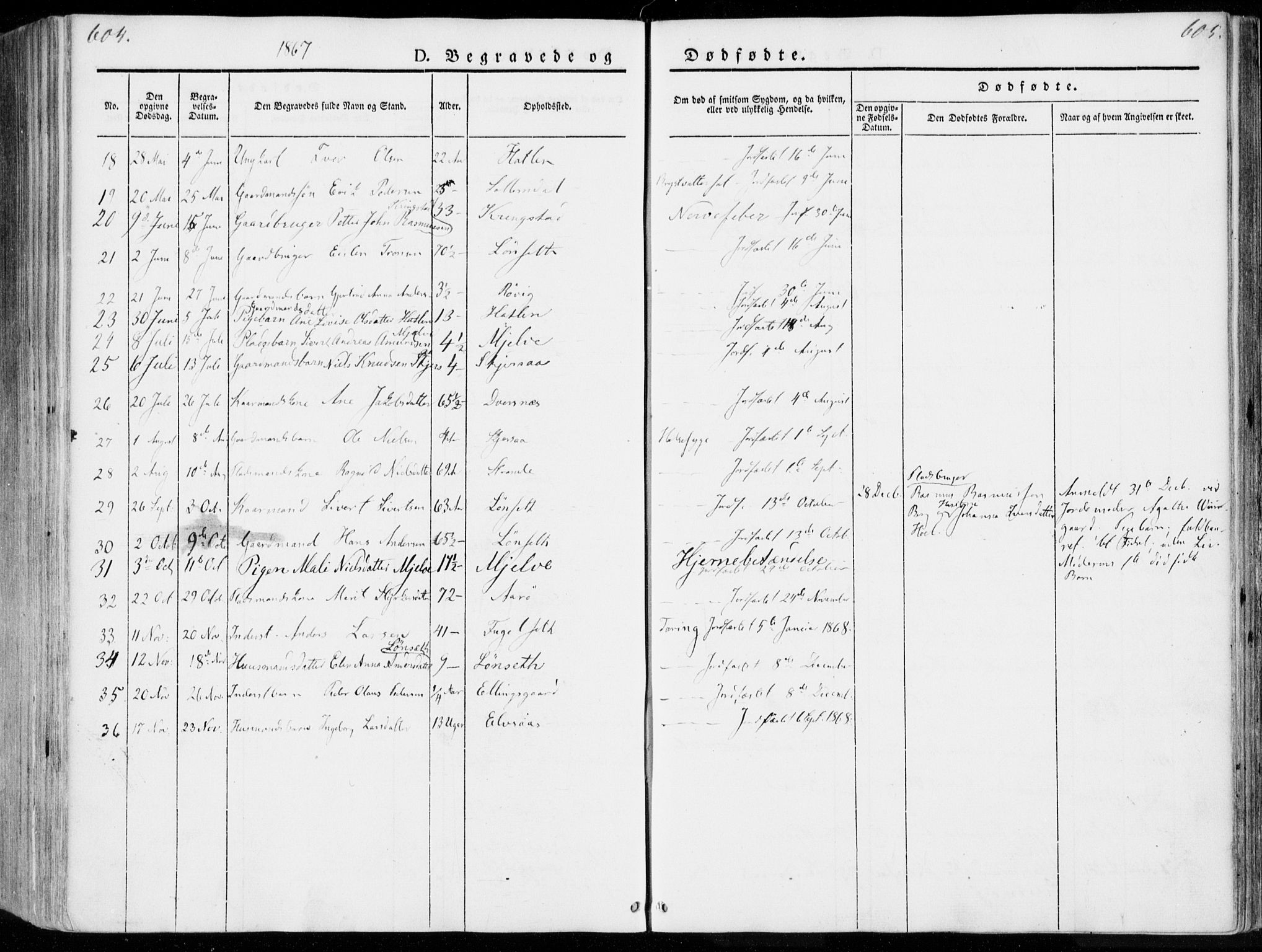 Ministerialprotokoller, klokkerbøker og fødselsregistre - Møre og Romsdal, AV/SAT-A-1454/555/L0653: Parish register (official) no. 555A04, 1843-1869, p. 604-605