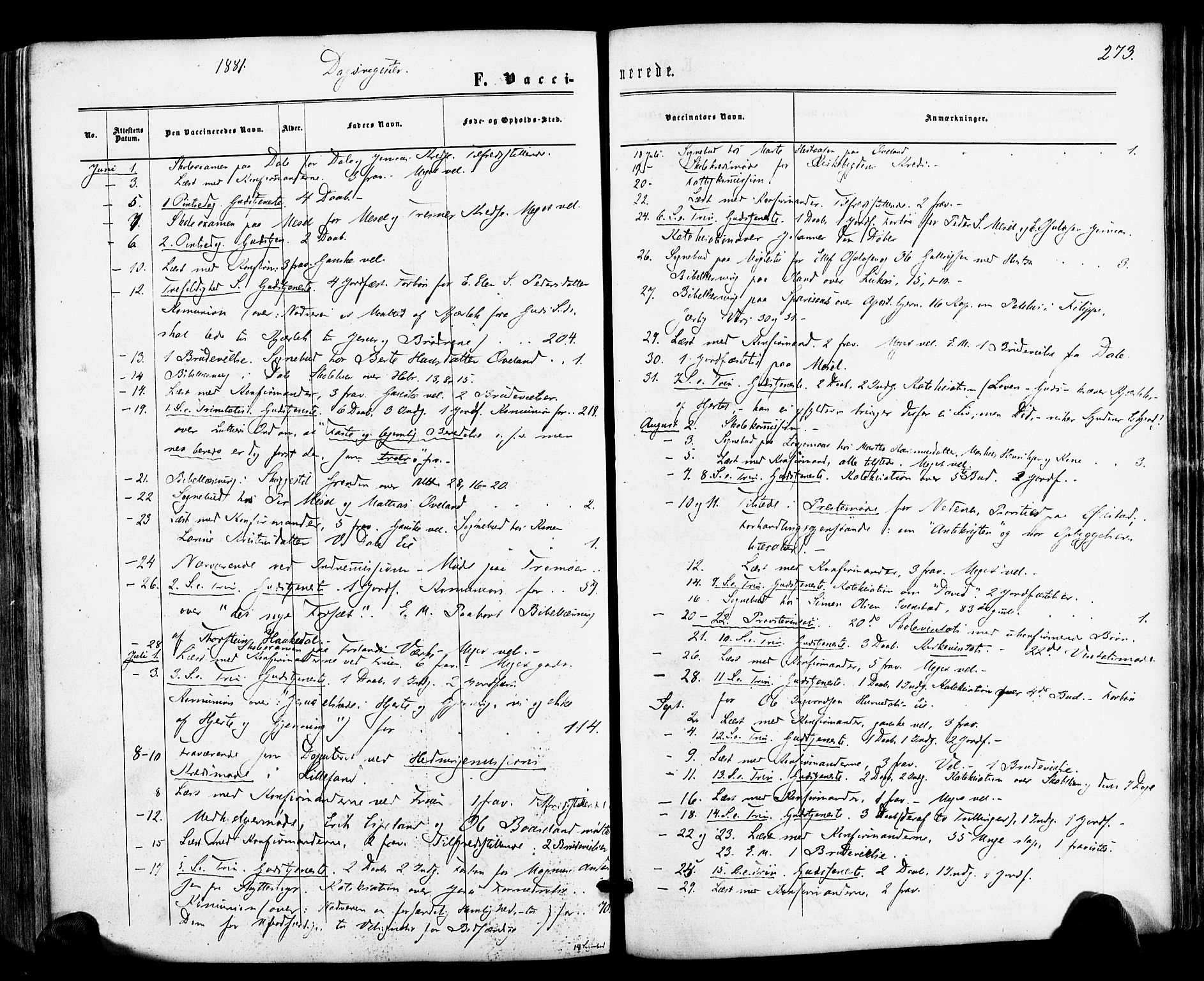 Froland sokneprestkontor, SAK/1111-0013/F/Fa/L0003: Parish register (official) no. A 3, 1864-1881, p. 273