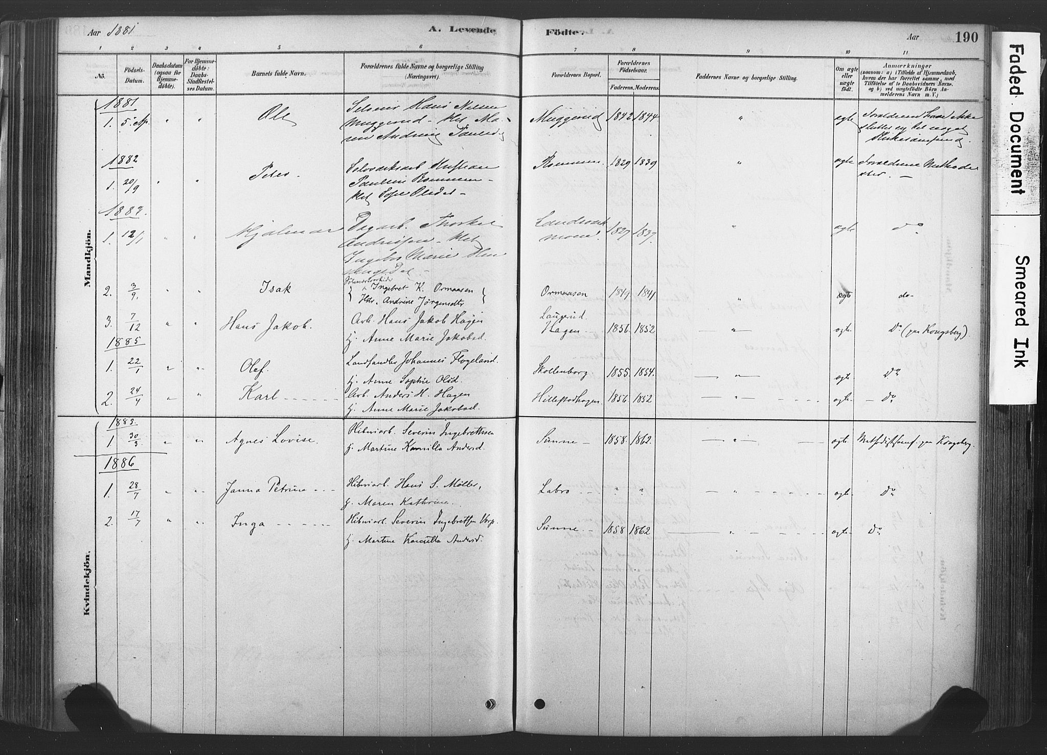 Sandsvær kirkebøker, SAKO/A-244/F/Fd/L0001: Parish register (official) no. IV 1, 1878-1906, p. 190