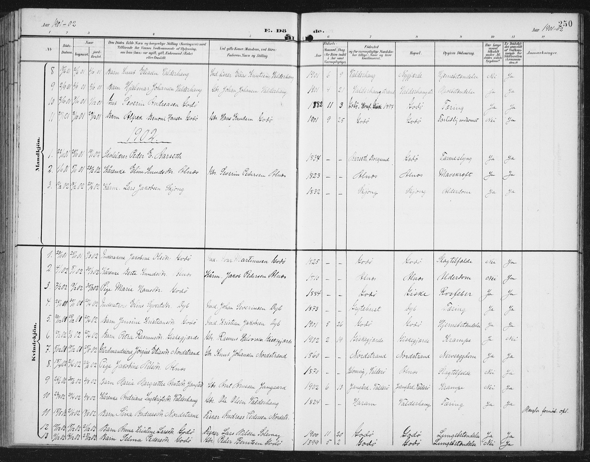 Ministerialprotokoller, klokkerbøker og fødselsregistre - Møre og Romsdal, AV/SAT-A-1454/534/L0489: Parish register (copy) no. 534C01, 1899-1941, p. 250