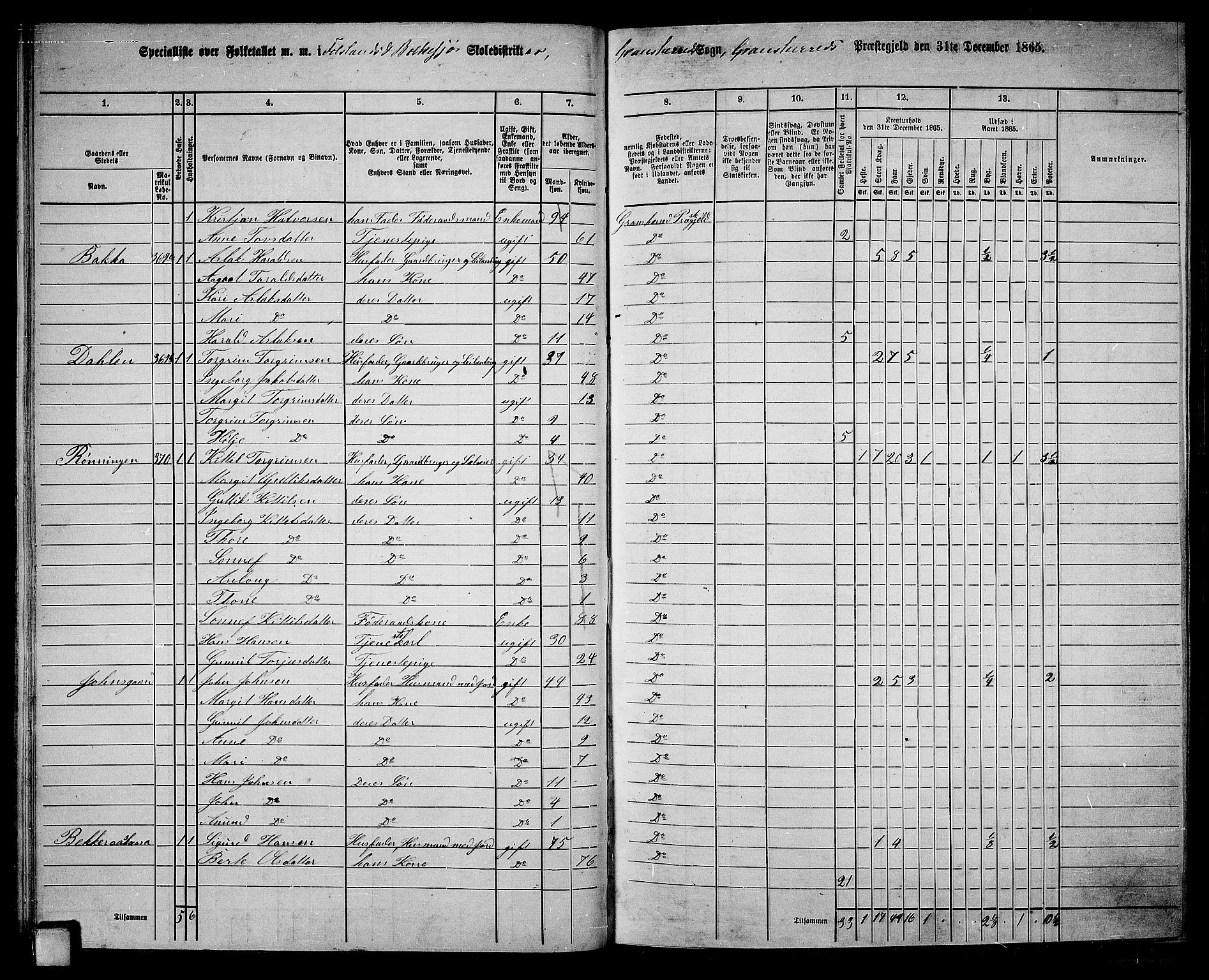 RA, 1865 census for Gransherad, 1865, p. 48