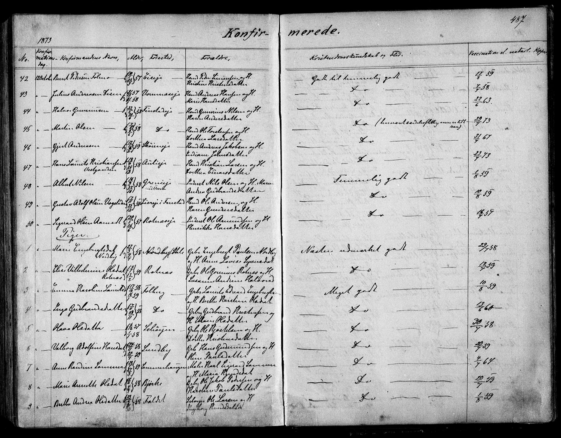 Nes prestekontor Kirkebøker, AV/SAO-A-10410/F/Fa/L0008: Parish register (official) no. I 8, 1859-1874, p. 487