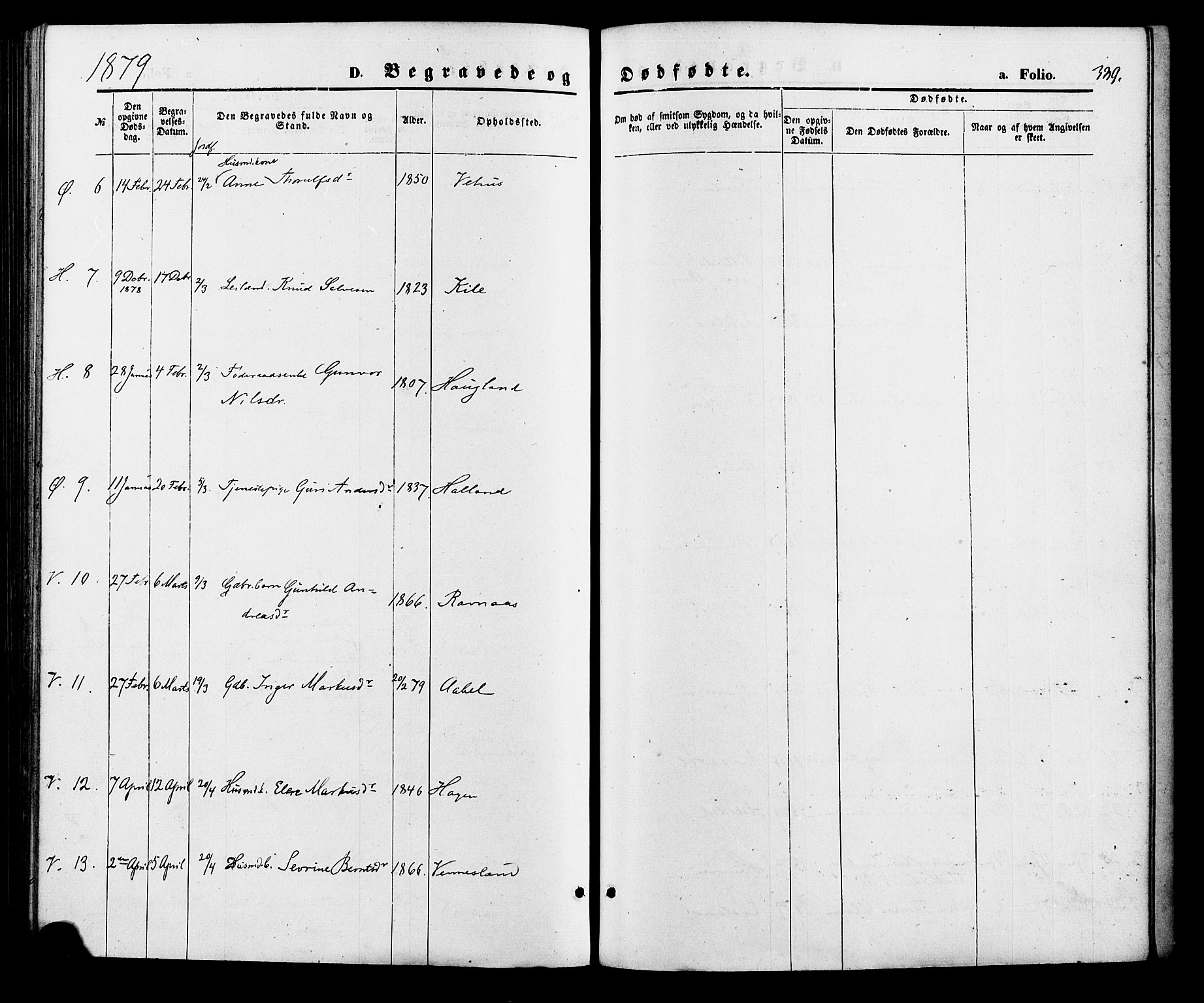 Vennesla sokneprestkontor, AV/SAK-1111-0045/Fa/Fac/L0008: Parish register (official) no. A 8, 1874-1883, p. 339